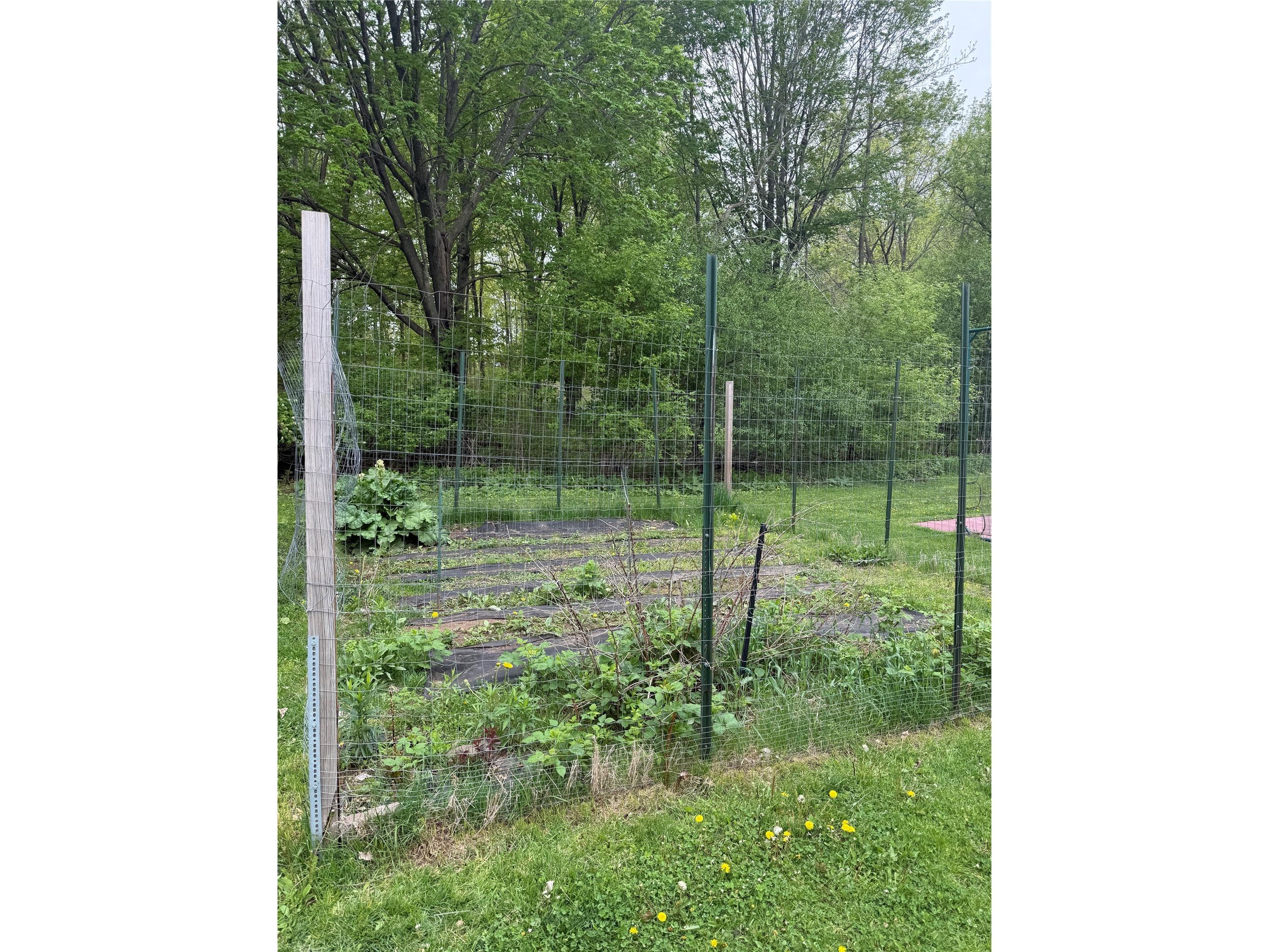 1502 W Marshall Street W Rice Lake WI 54868 1601183 image4