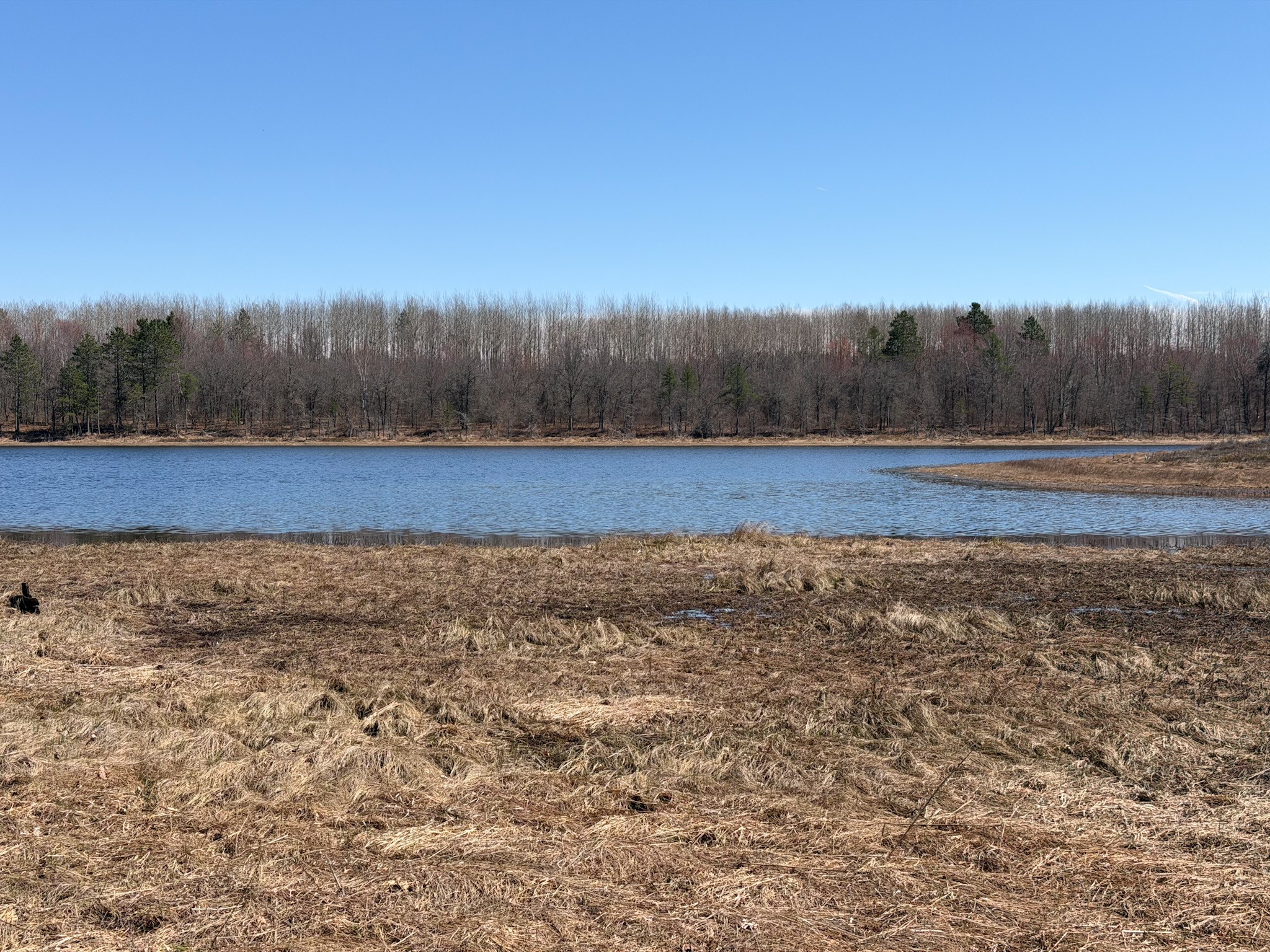 15051 S Thorn Lake Loop Loop Gordon WI 54838 - Thorn 1600427 image10