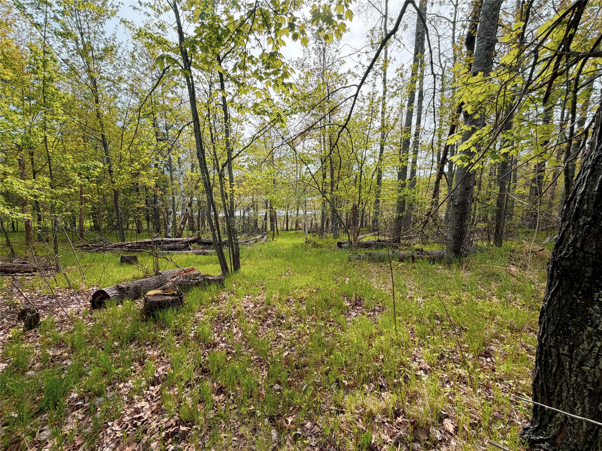 15051 S Thorn Lake Loop Loop Gordon WI 54838 - Thorn 1600427 image29