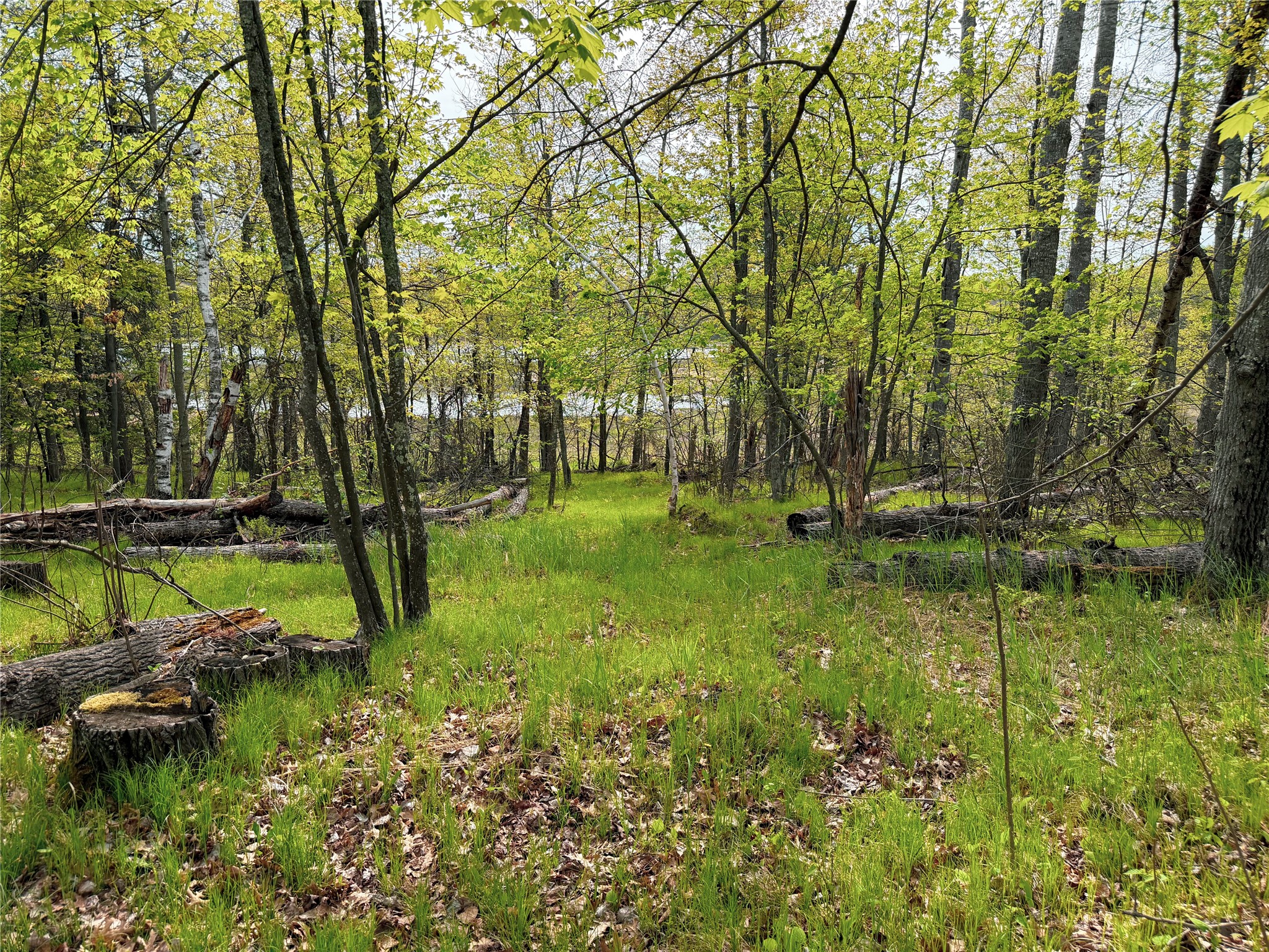 15051 S Thorn Lake Loop Loop Gordon WI 54838 - Thorn 1600427 image8