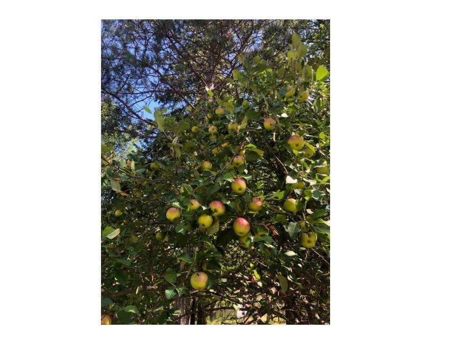 15075 S Lost Lake Road Wascott WI 54838 - Snipe 1597560 image46