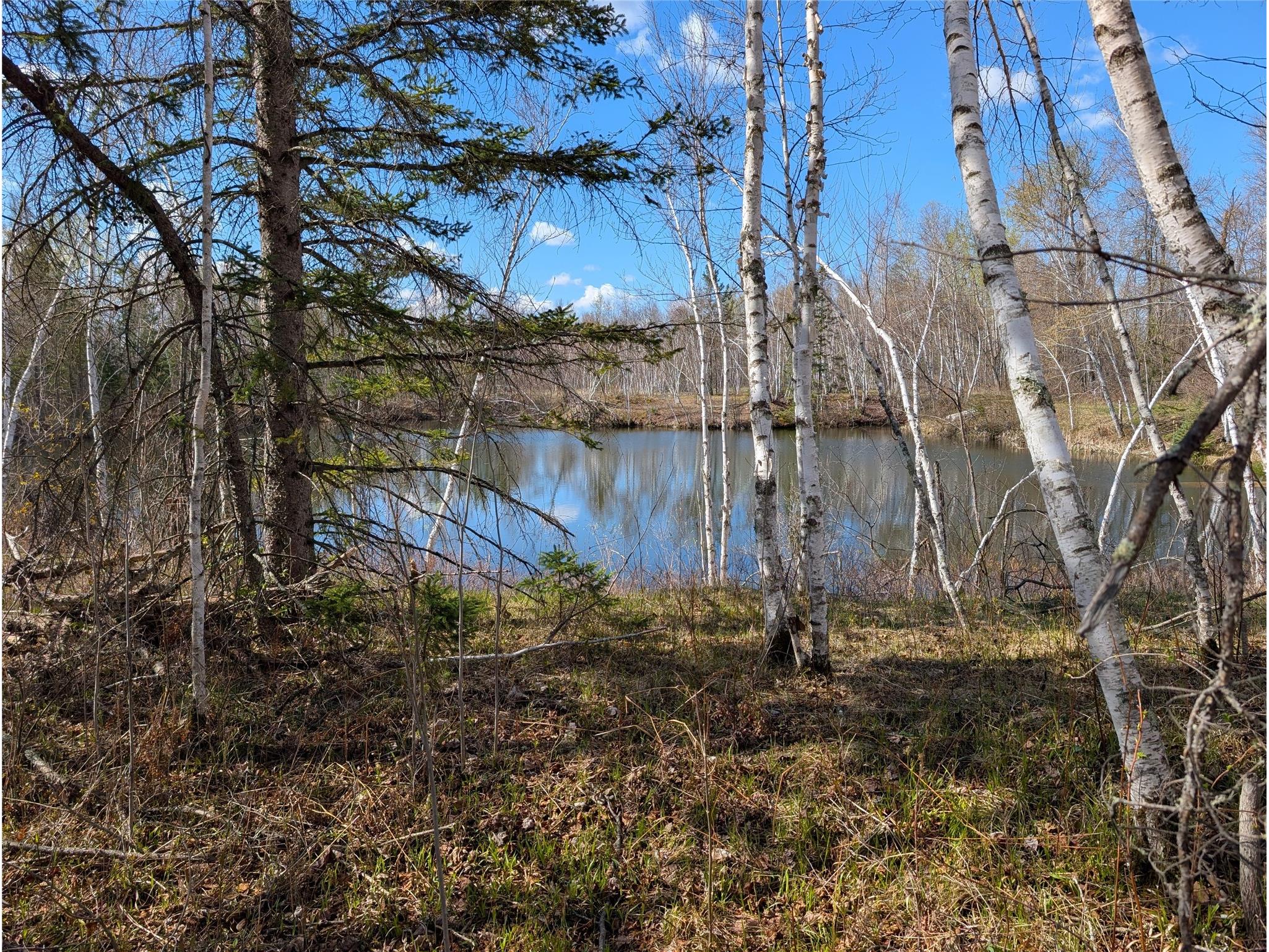 15138 S Crotte Brook Trail Danbury WI 54830 1600976 image15