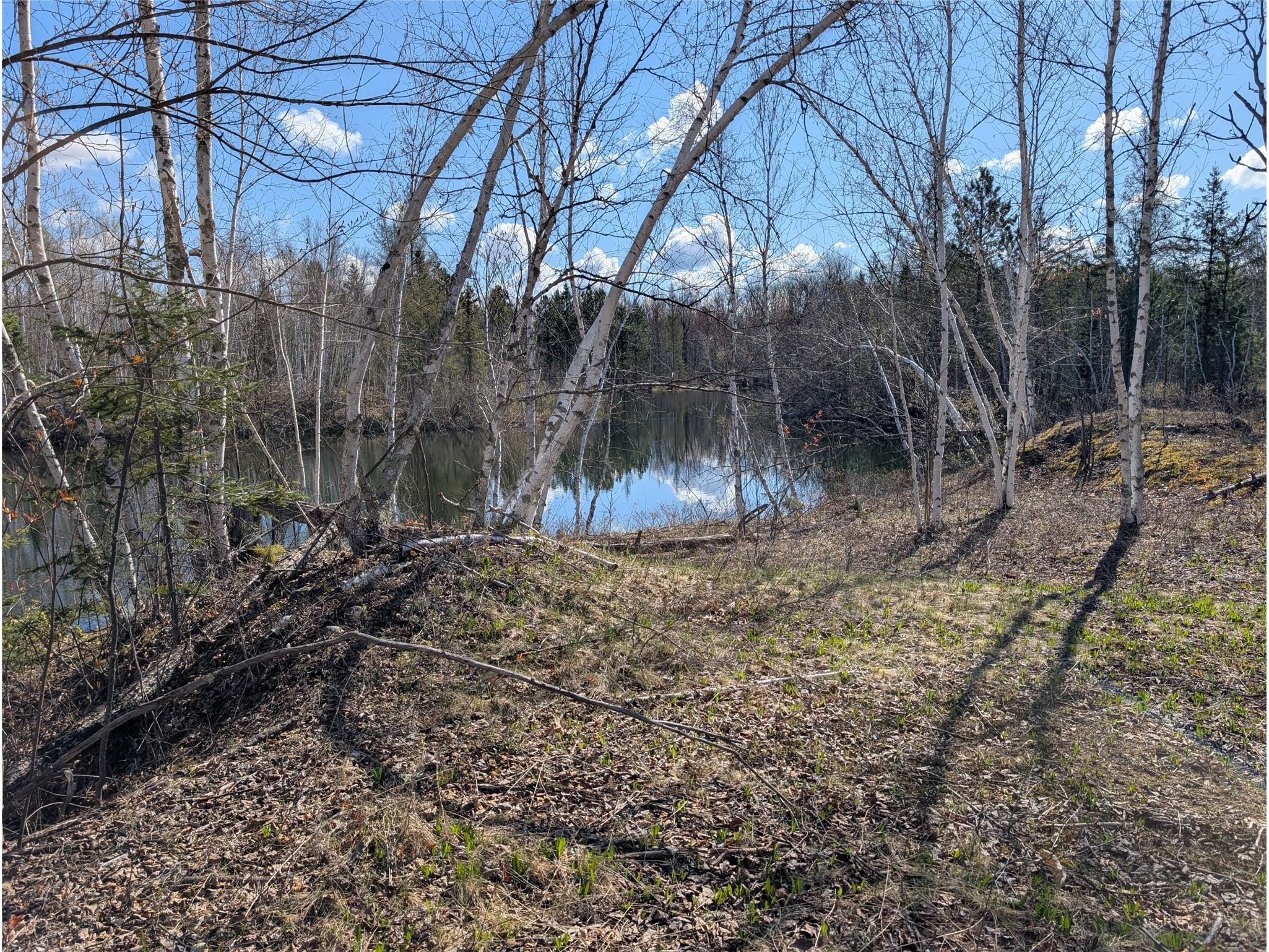 15138 S Crotte Brook Trail Danbury WI 54830 1600976 image17