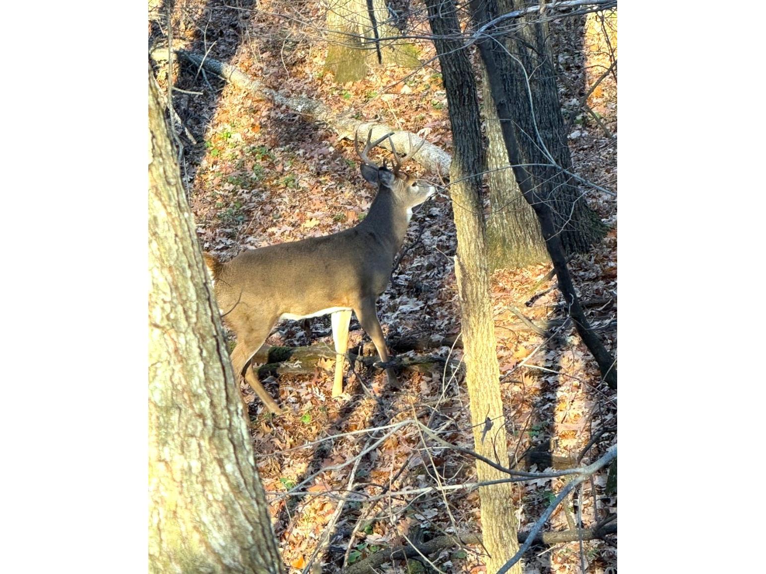 15138 S Crotte Brook Trail Danbury WI 54830 1600976 image23