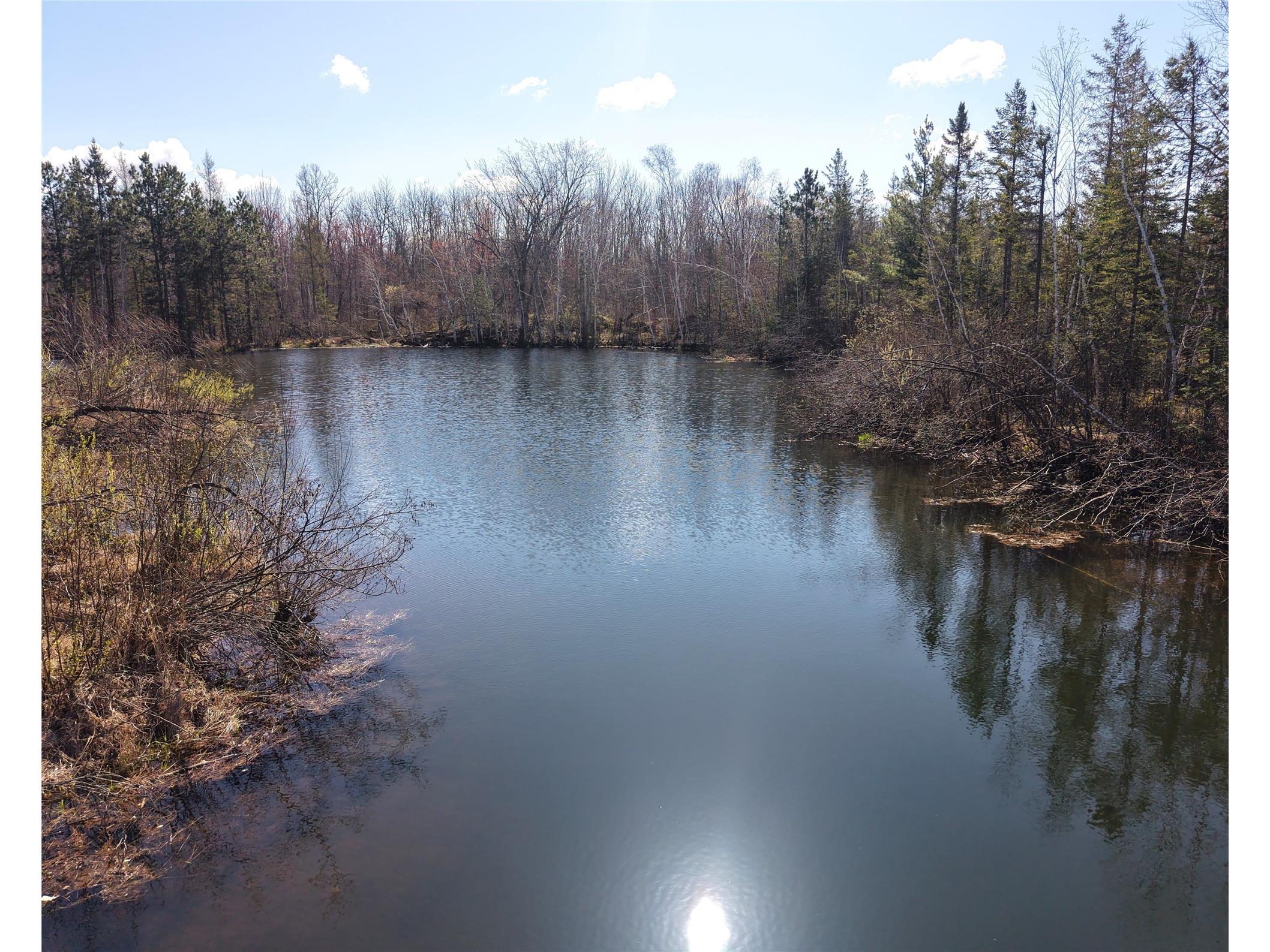 15138 S Crotte Brook Trail Danbury WI 54830 1600976 image28