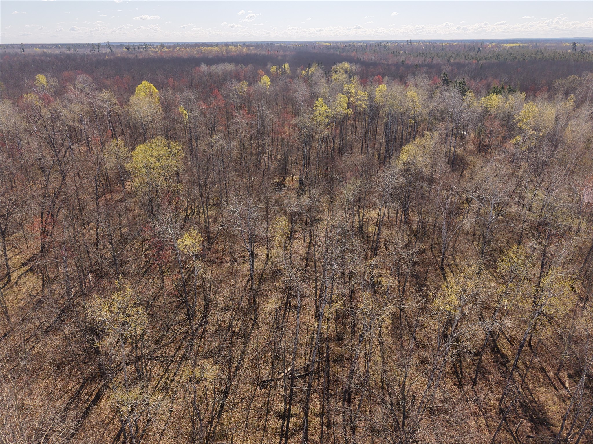15138 S Crotte Brook Trail Danbury WI 54830 1600976 image34