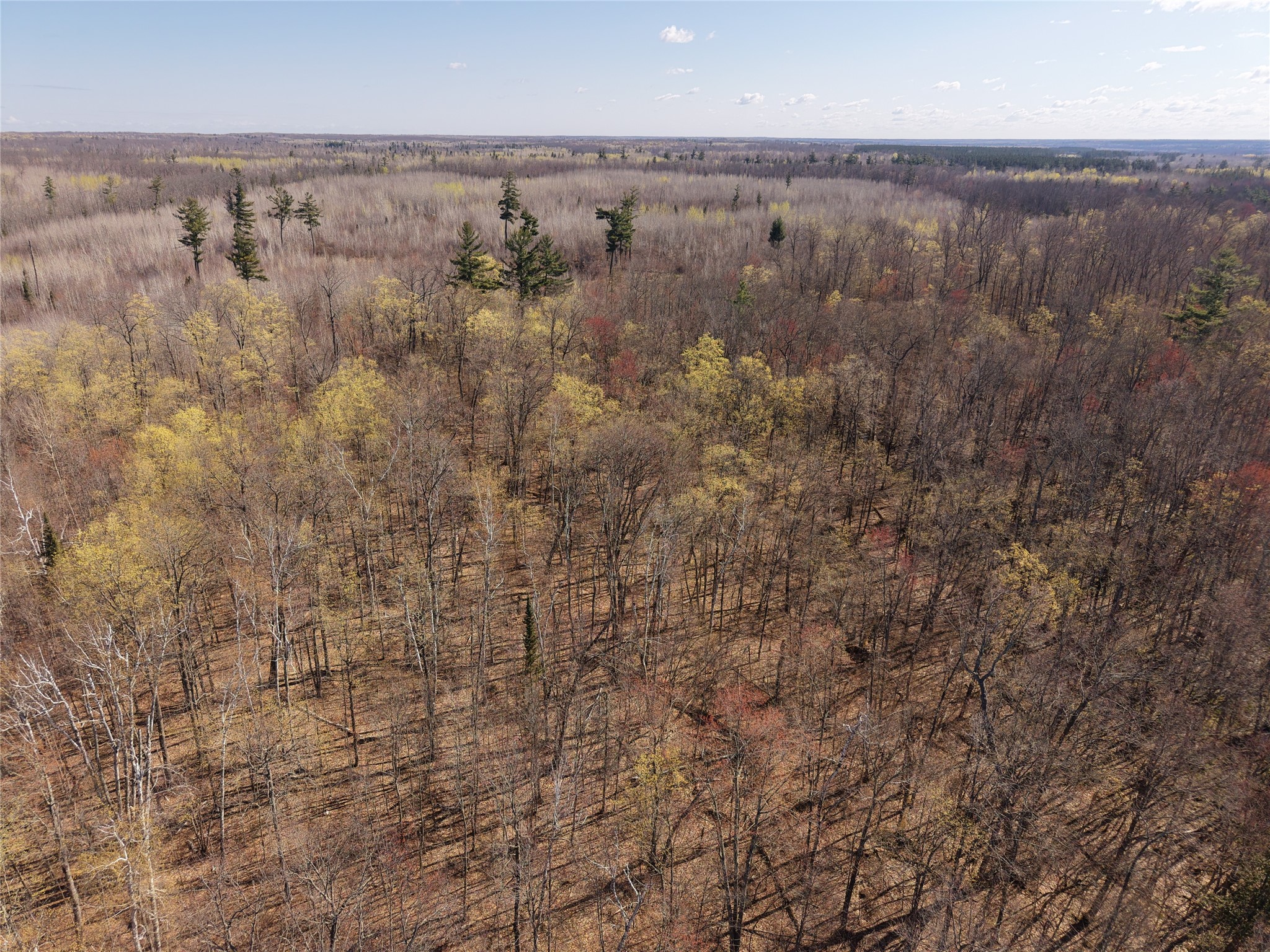 15138 S Crotte Brook Trail Danbury WI 54830 1600976 image38
