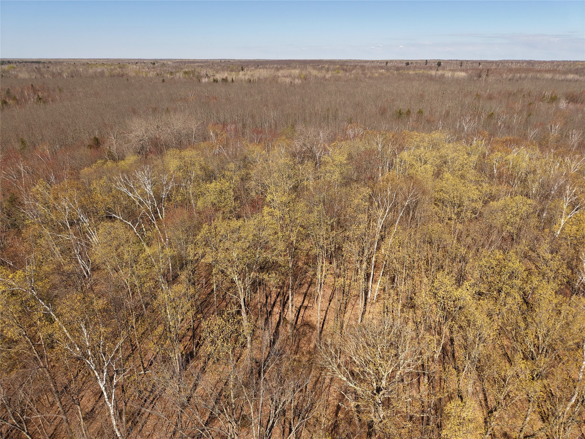 15138 S Crotte Brook Trail Danbury WI 54830 1600976 image39