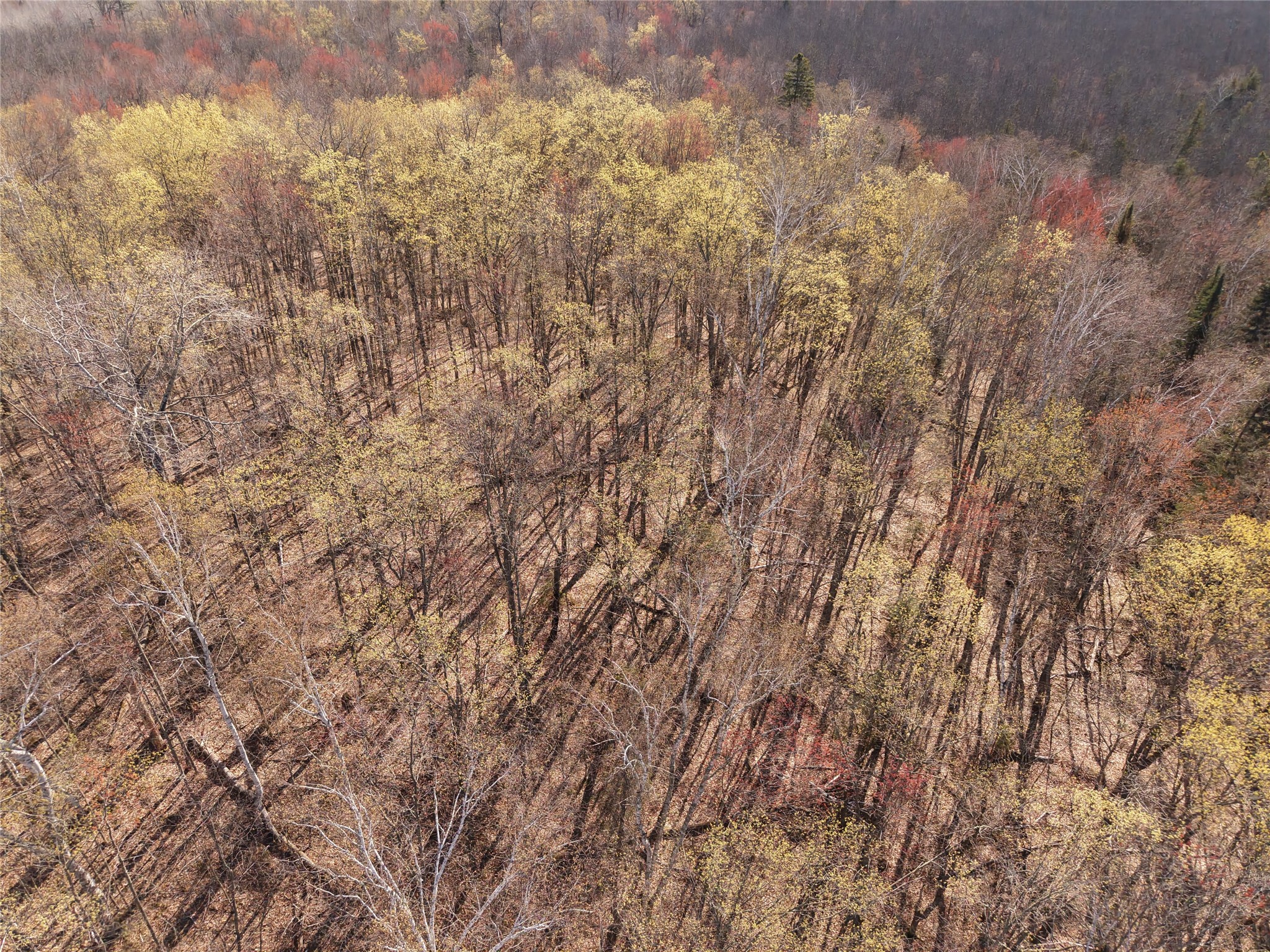 15138 S Crotte Brook Trail Danbury WI 54830 1600976 image40