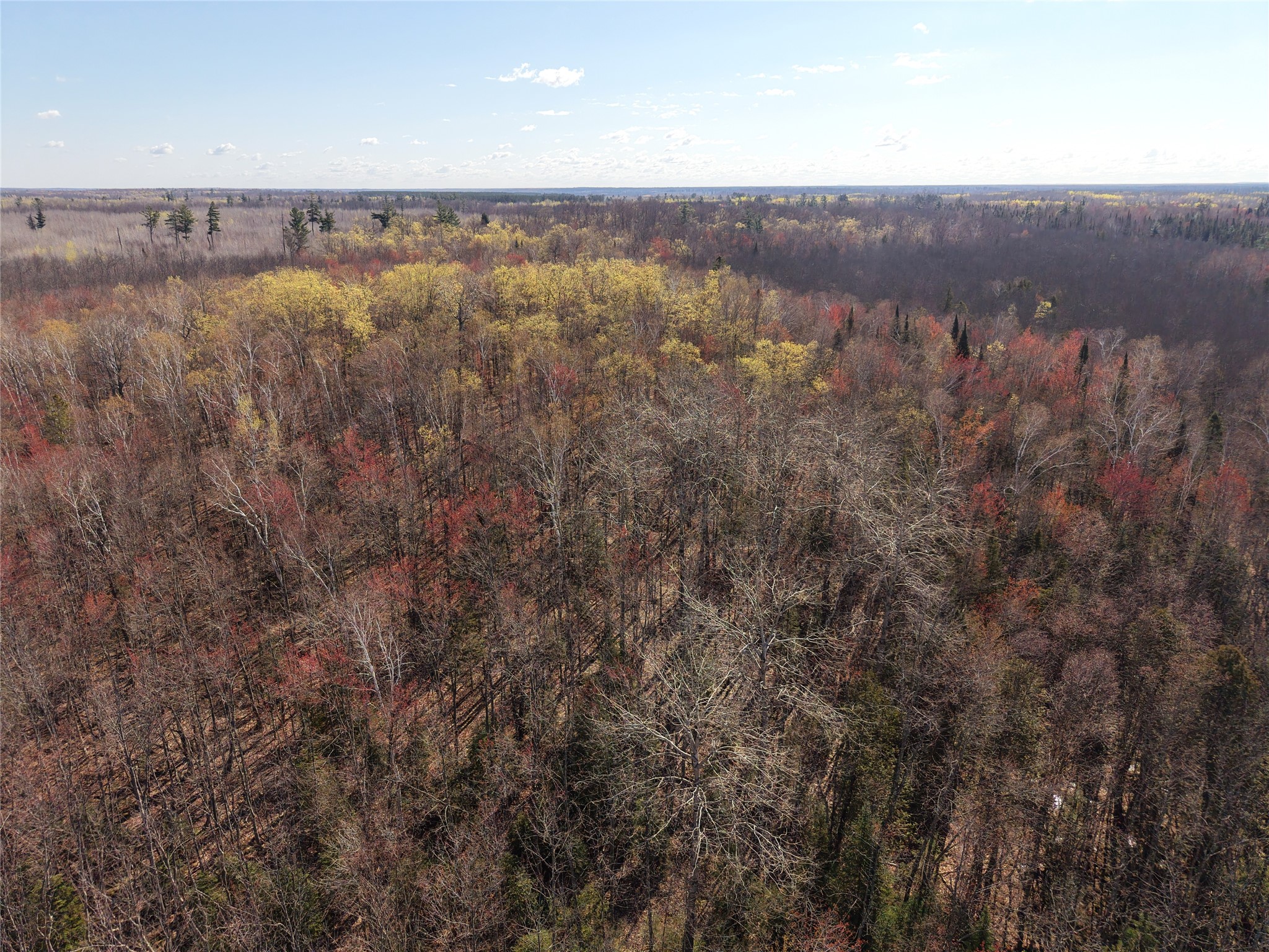 15138 S Crotte Brook Trail Danbury WI 54830 1600976 image41