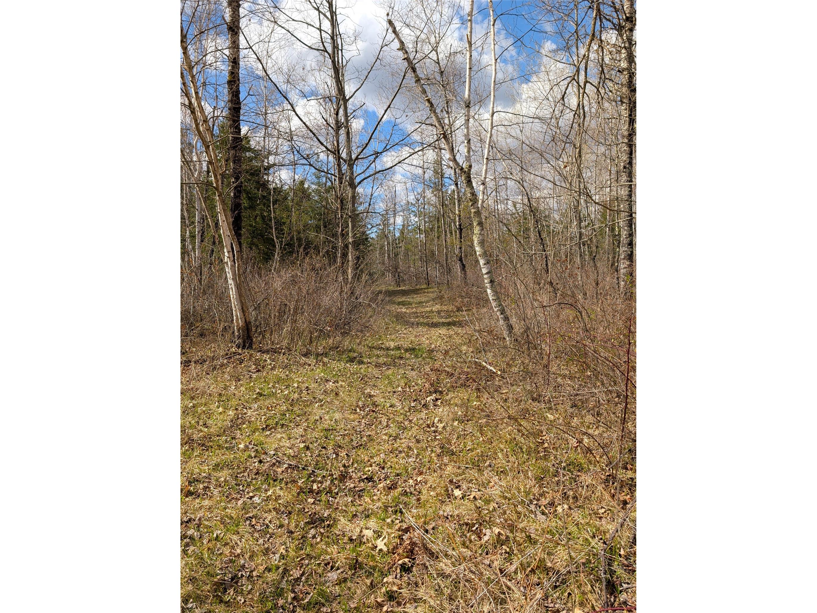 15138 S Crotte Brook Trail Danbury WI 54830 1600976 image43