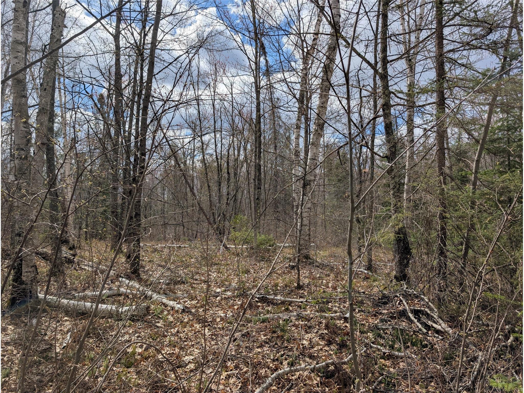 15138 S Crotte Brook Trail Danbury WI 54830 1600976 image44