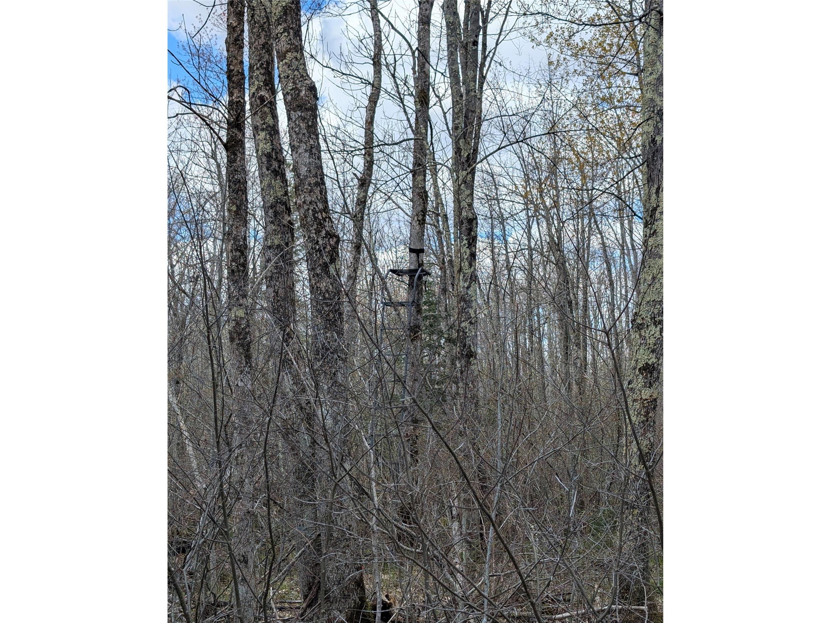 15138 S Crotte Brook Trail Danbury WI 54830 1600976 image46