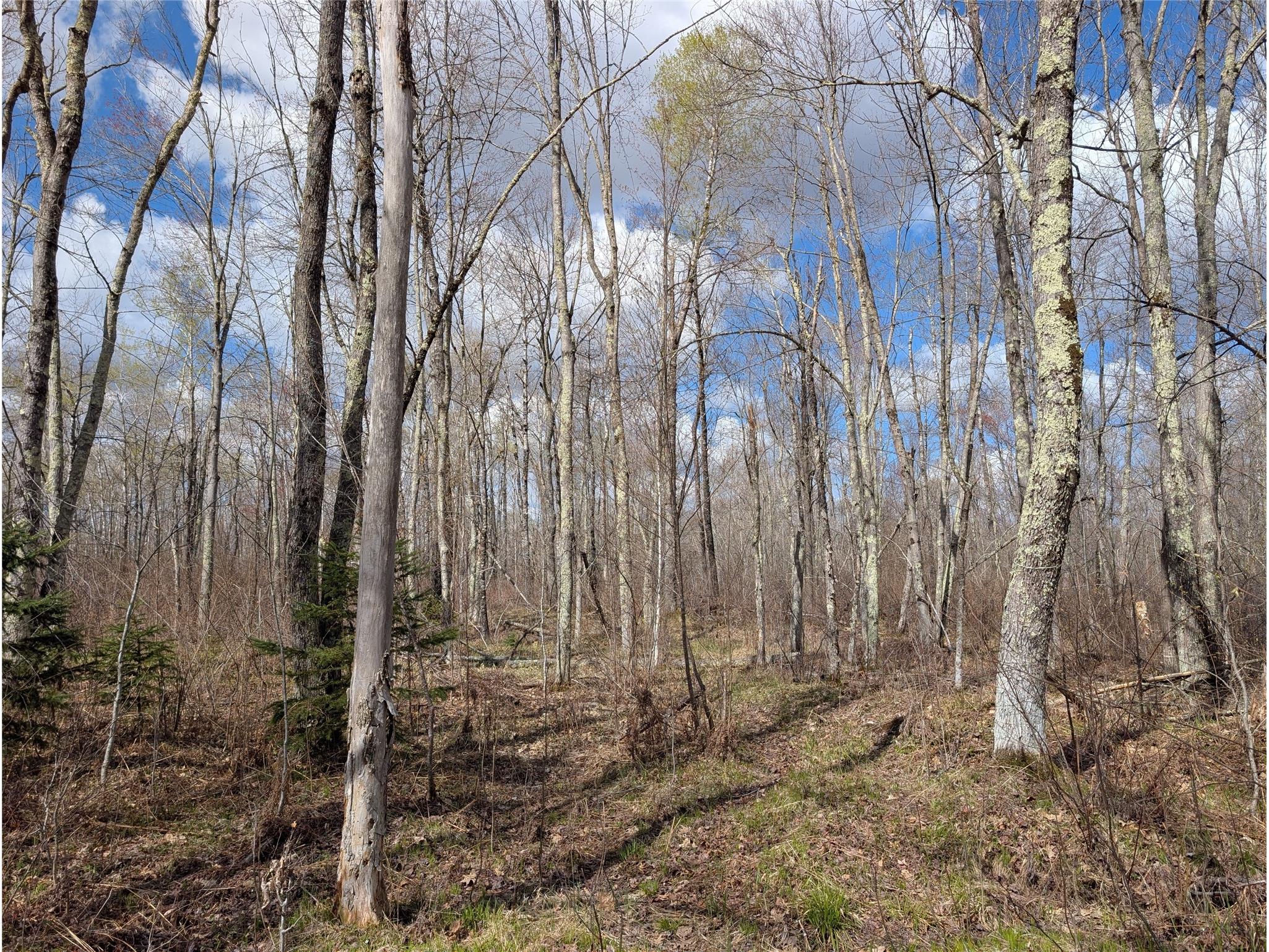 15138 S Crotte Brook Trail Danbury WI 54830 1600976 image47