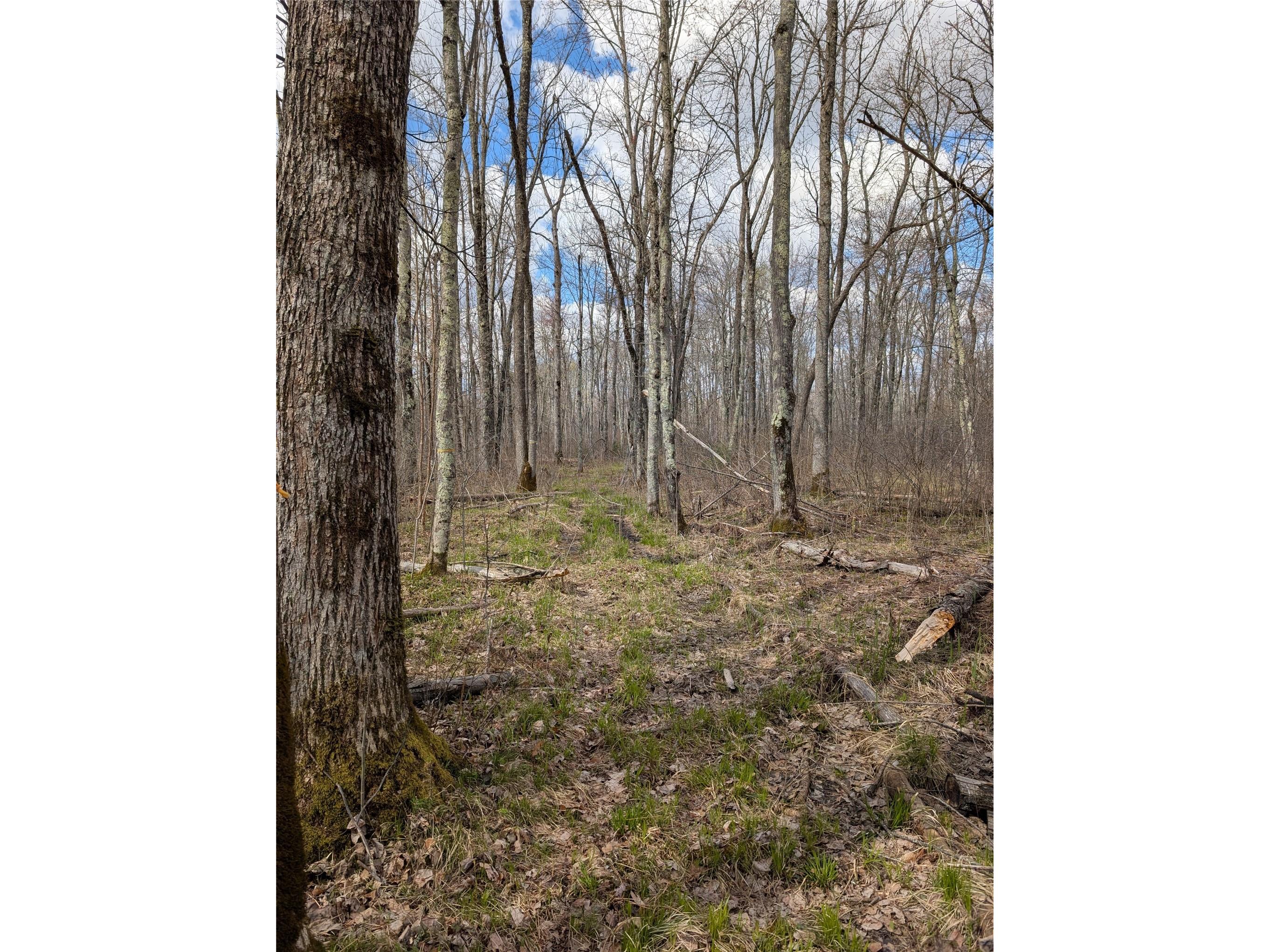 15138 S Crotte Brook Trail Danbury WI 54830 1600976 image48