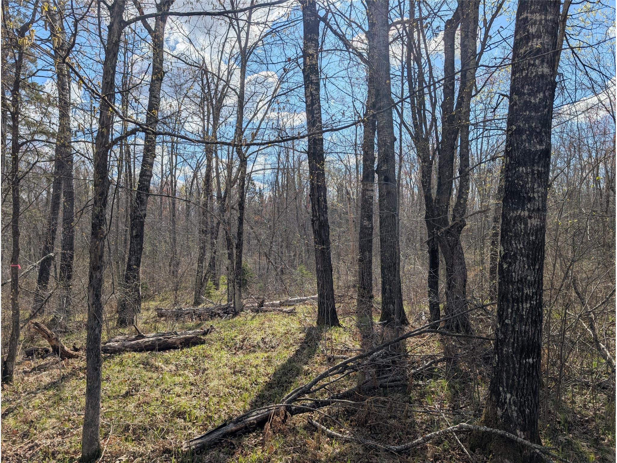 15138 S Crotte Brook Trail Danbury WI 54830 1600976 image49