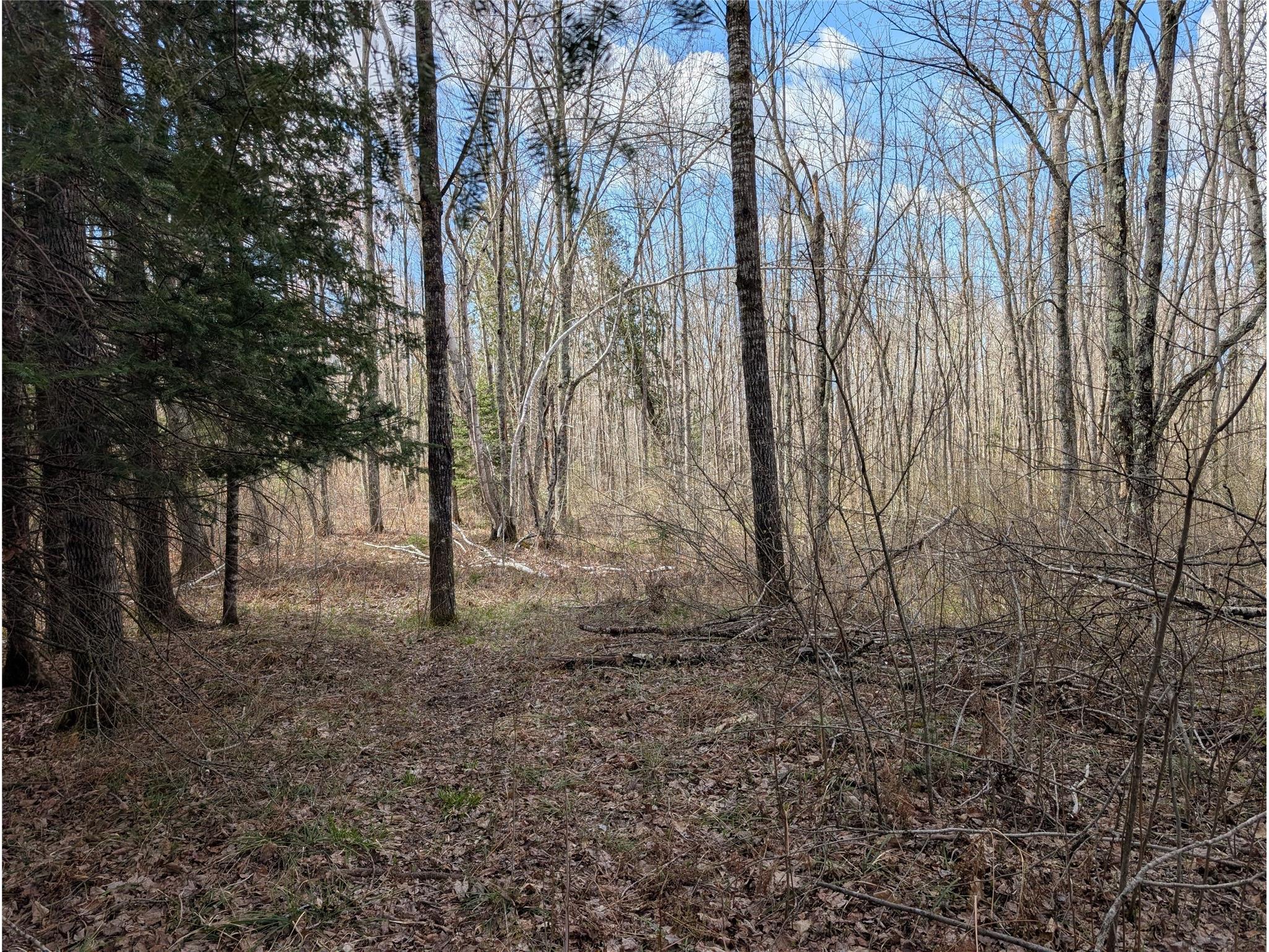 15138 S Crotte Brook Trail Danbury WI 54830 1600976 image52