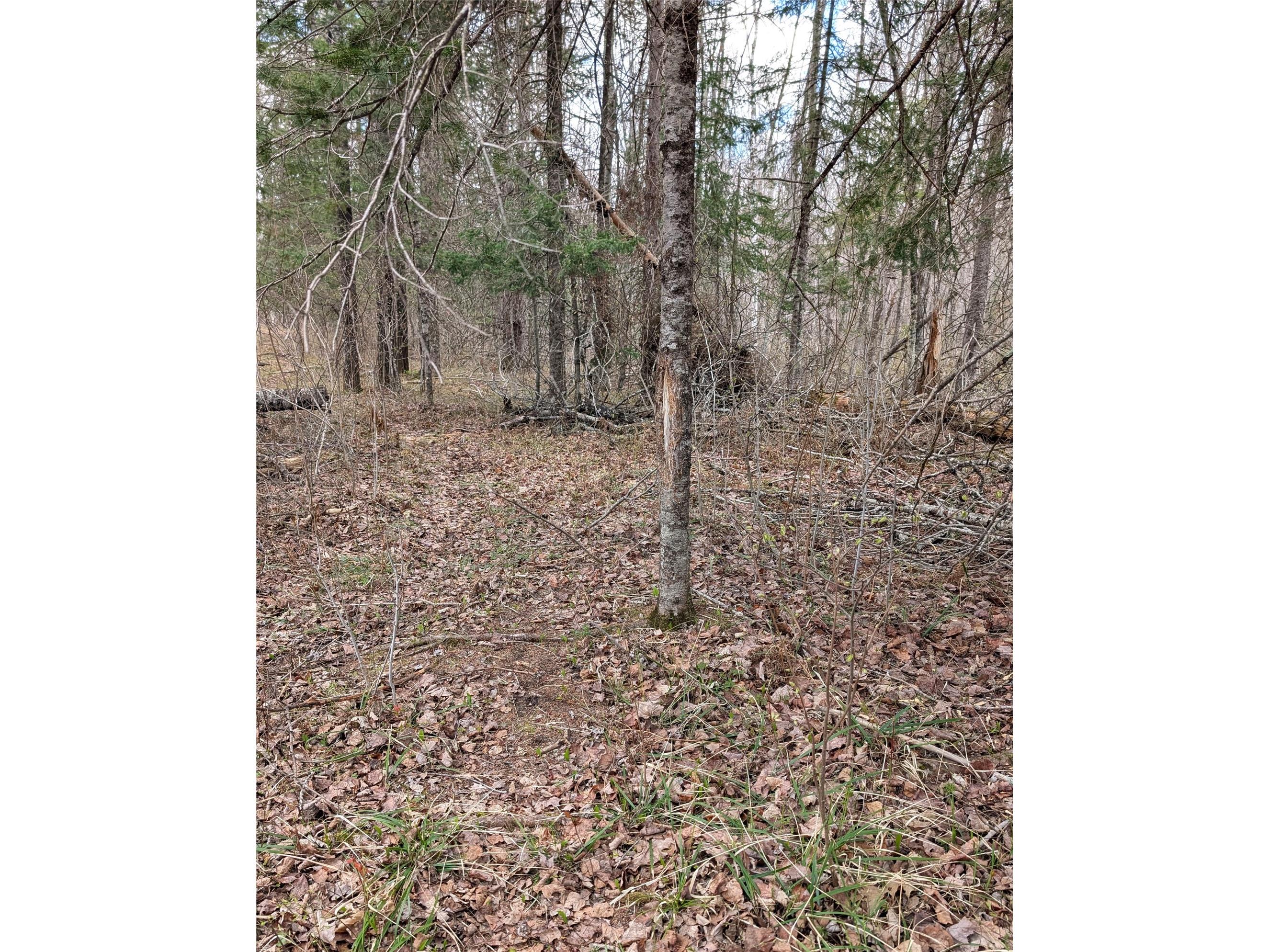 15138 S Crotte Brook Trail Danbury WI 54830 1600976 image53