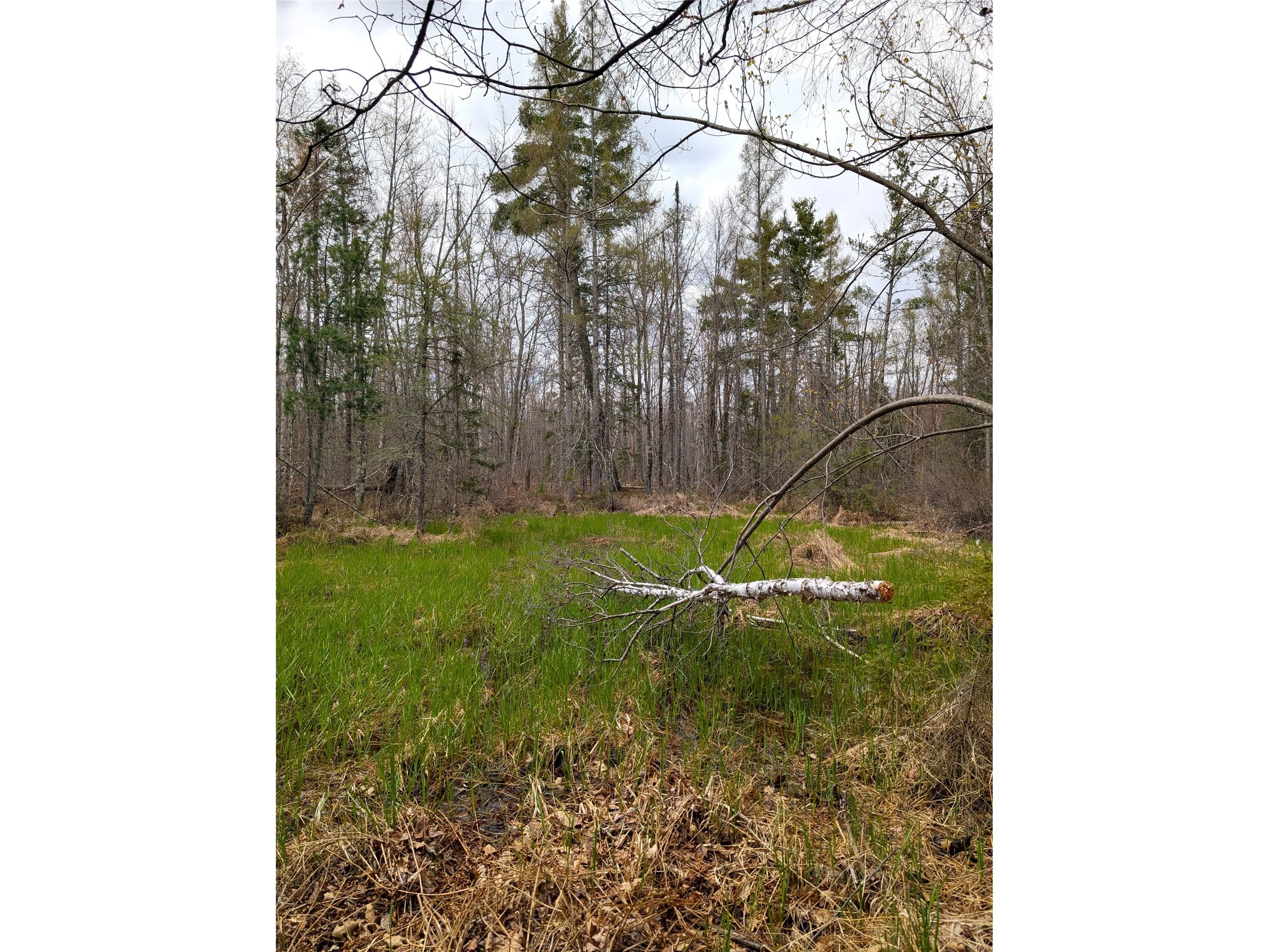 15138 S Crotte Brook Trail Danbury WI 54830 1600976 image55