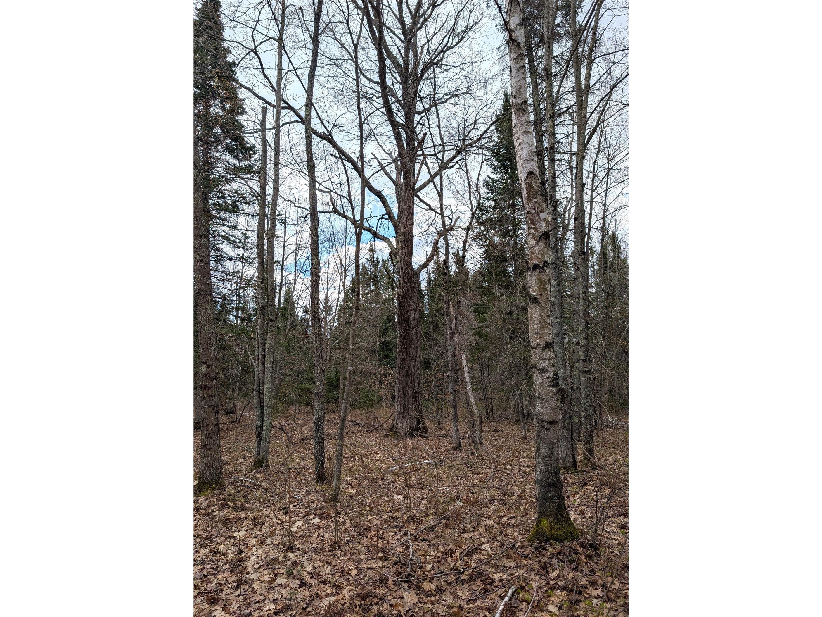 15138 S Crotte Brook Trail Danbury WI 54830 1600976 image57