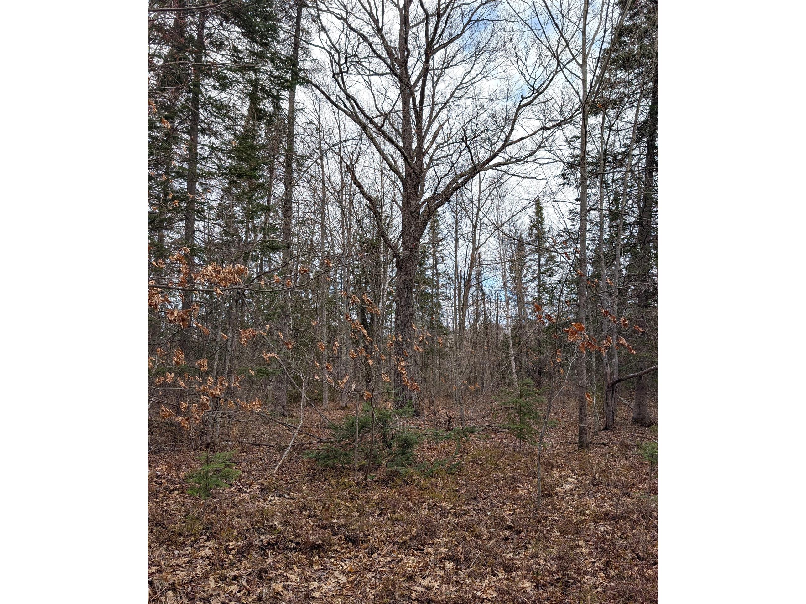 15138 S Crotte Brook Trail Danbury WI 54830 1600976 image58
