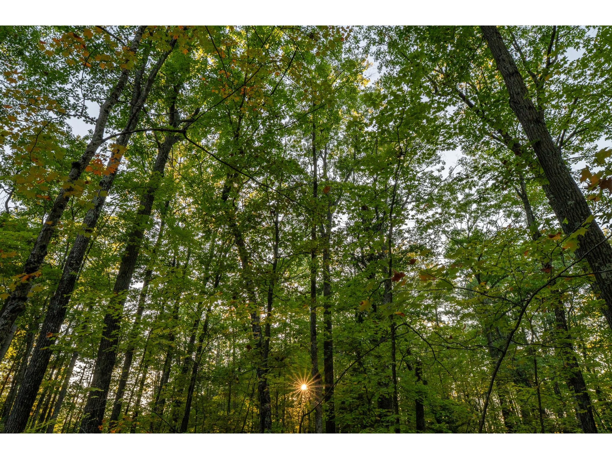 15189W Beckwith Rd Hayward WI 54843 - Grindstone Lake 1600962 image15