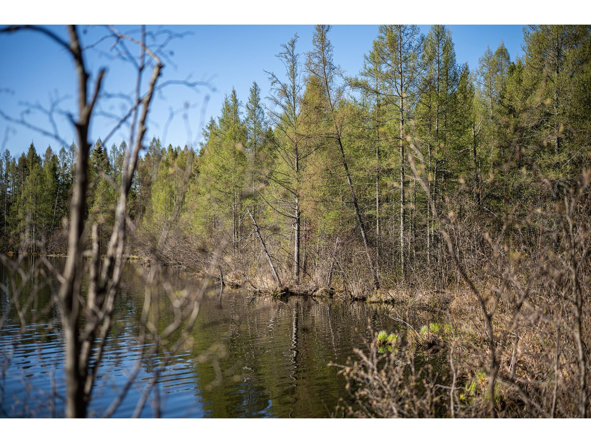 15189W Beckwith Rd Hayward WI 54843 - Grindstone Lake 1600962 image39