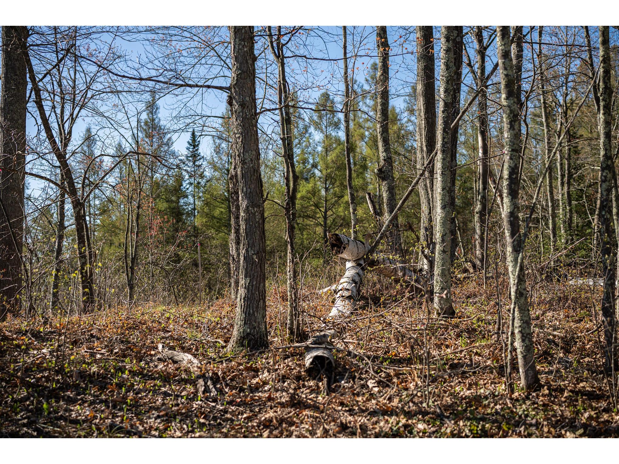 15189W Beckwith Rd Hayward WI 54843 - Grindstone Lake 1600962 image43