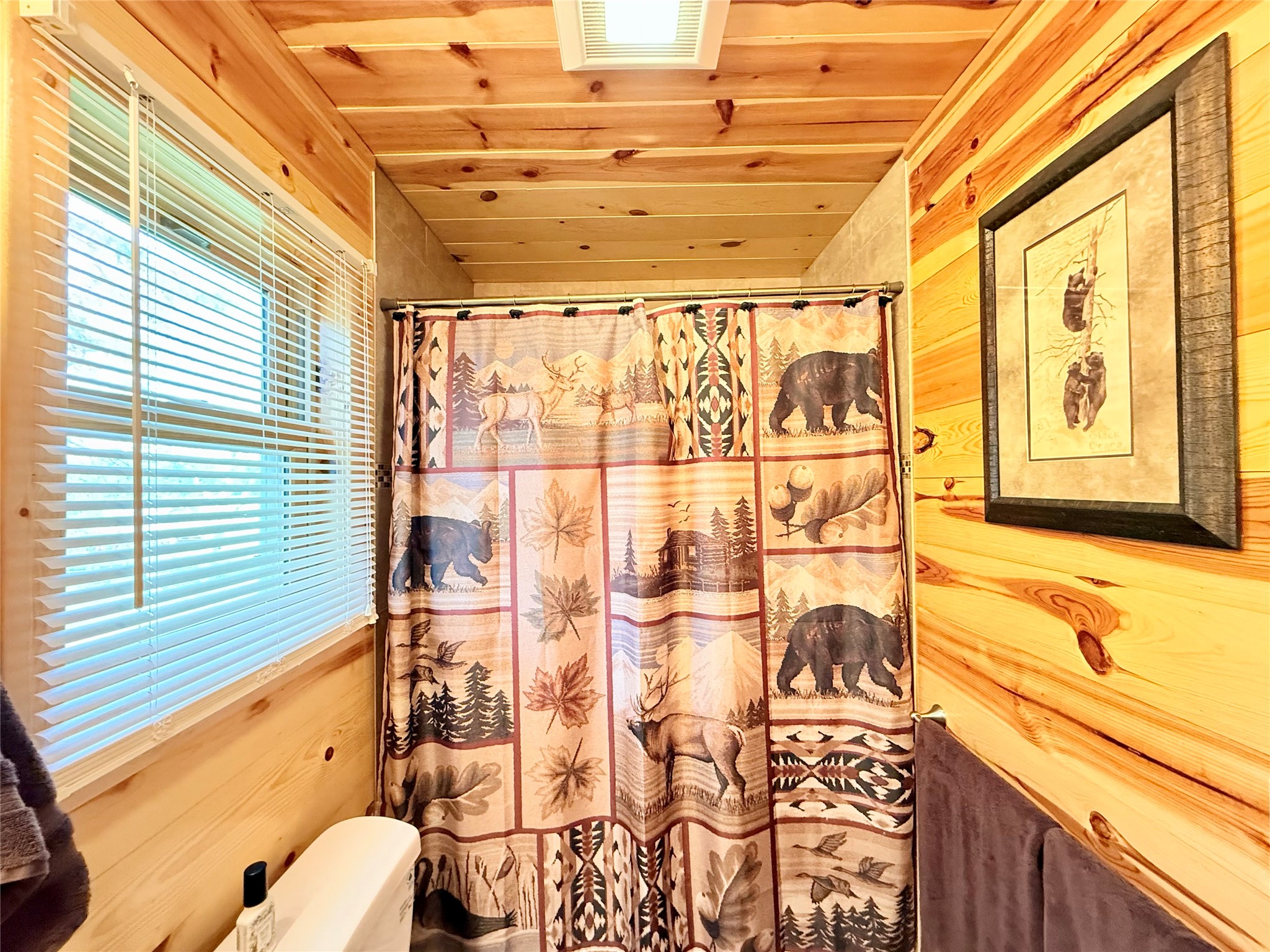 15249 W Bills Road #5 Hayward WI 54843 - Nelson Lake 1601310 image14