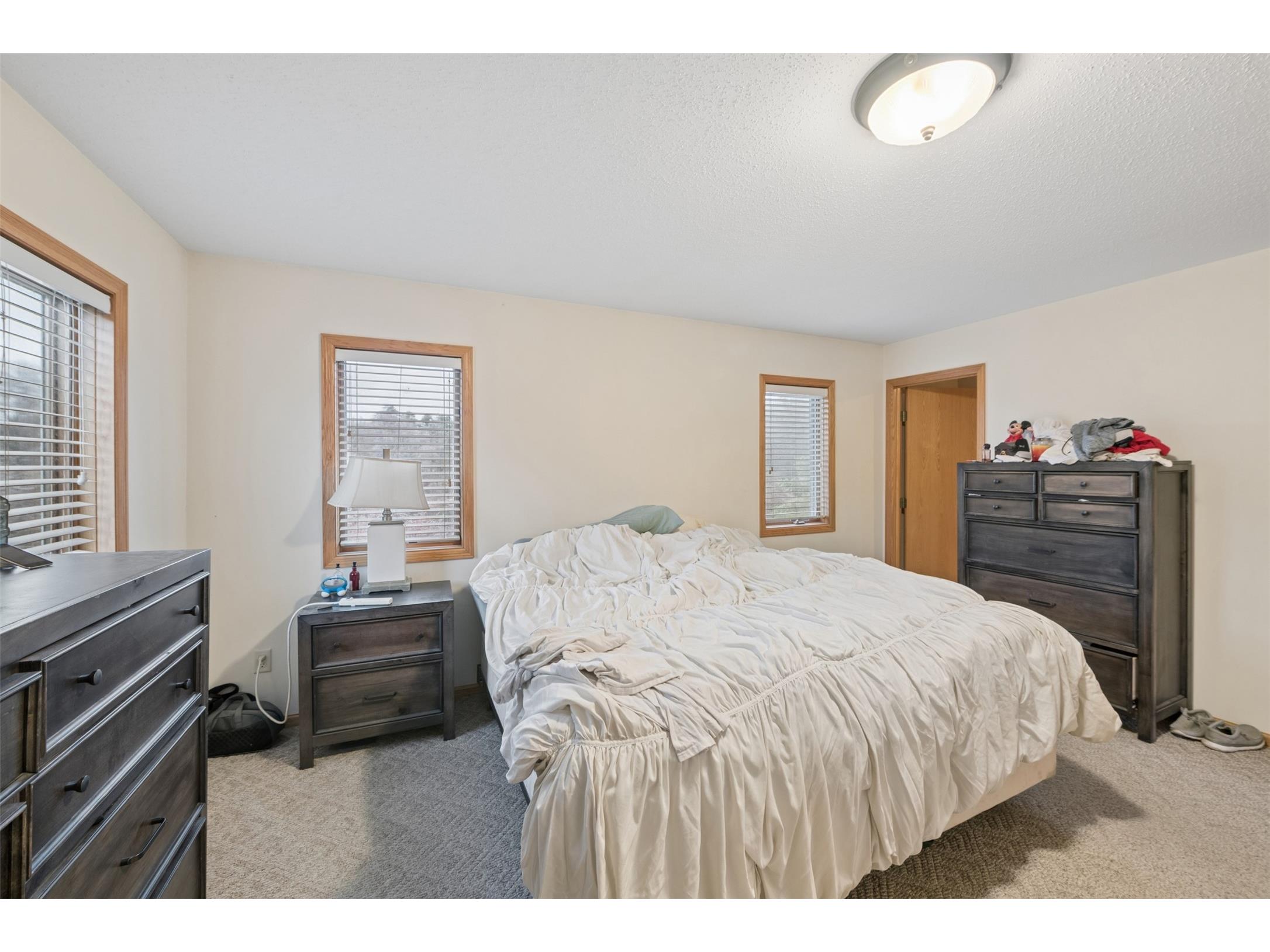 1528 Shore Haven Court Menomonie WI 54751 1599746 image15