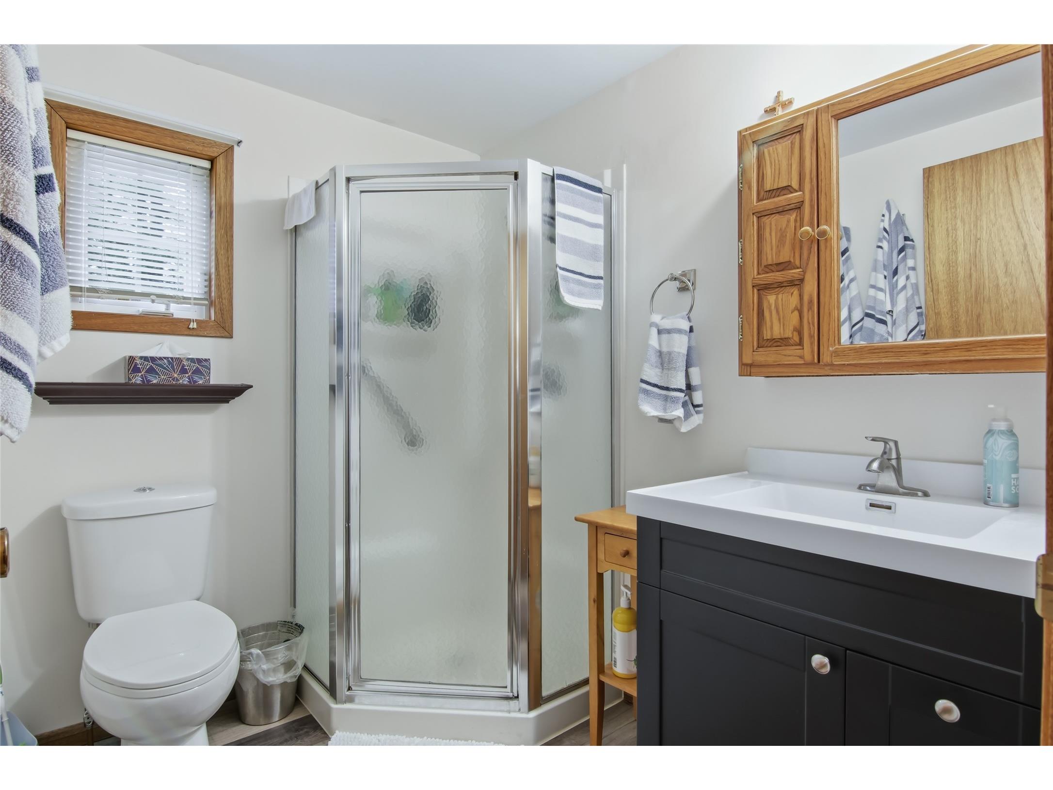 15333 W Birch Point Road Hayward WI 54843 - Nelson Lake 1600358 image23