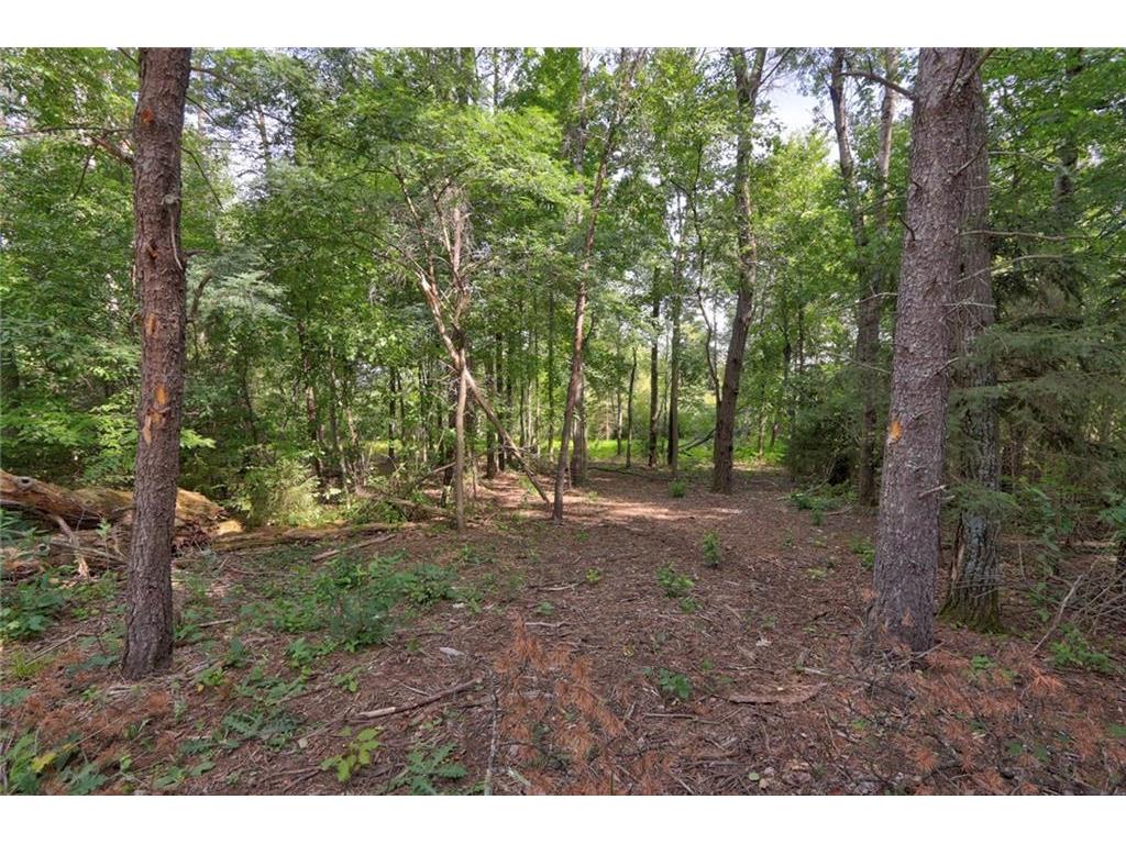 15364W Chippewa Trail Hayward WI 54843 - Hayward Lake 1577823 image1