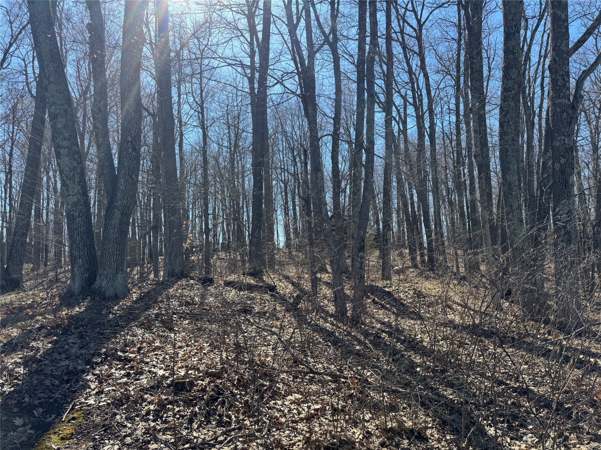15524W Holly Lake Lane Stone Lake WI 54876 - Upper Holly 1600275 image11