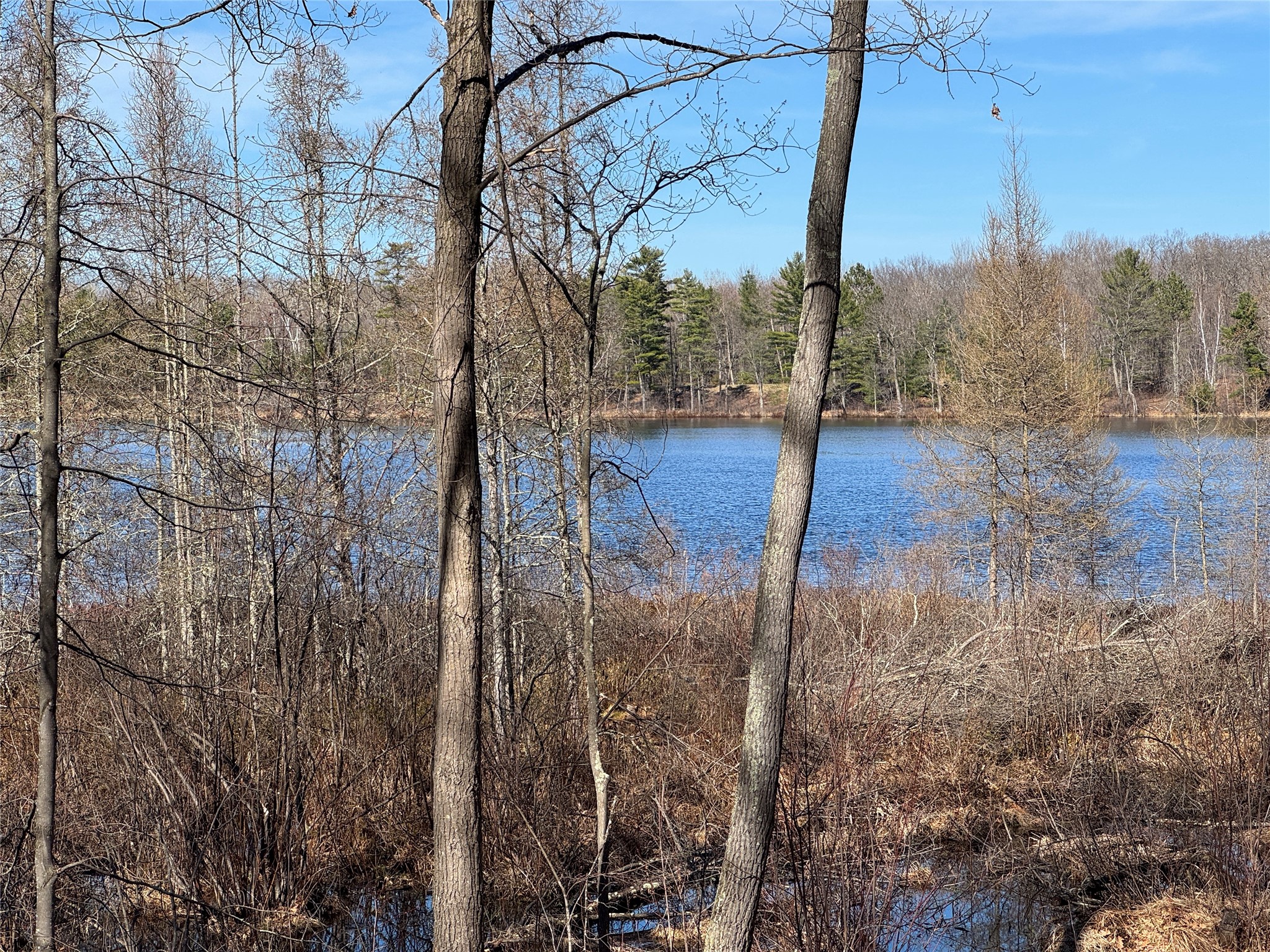 15524W Holly Lake Lane Stone Lake WI 54876 - Upper Holly 1600275 image15