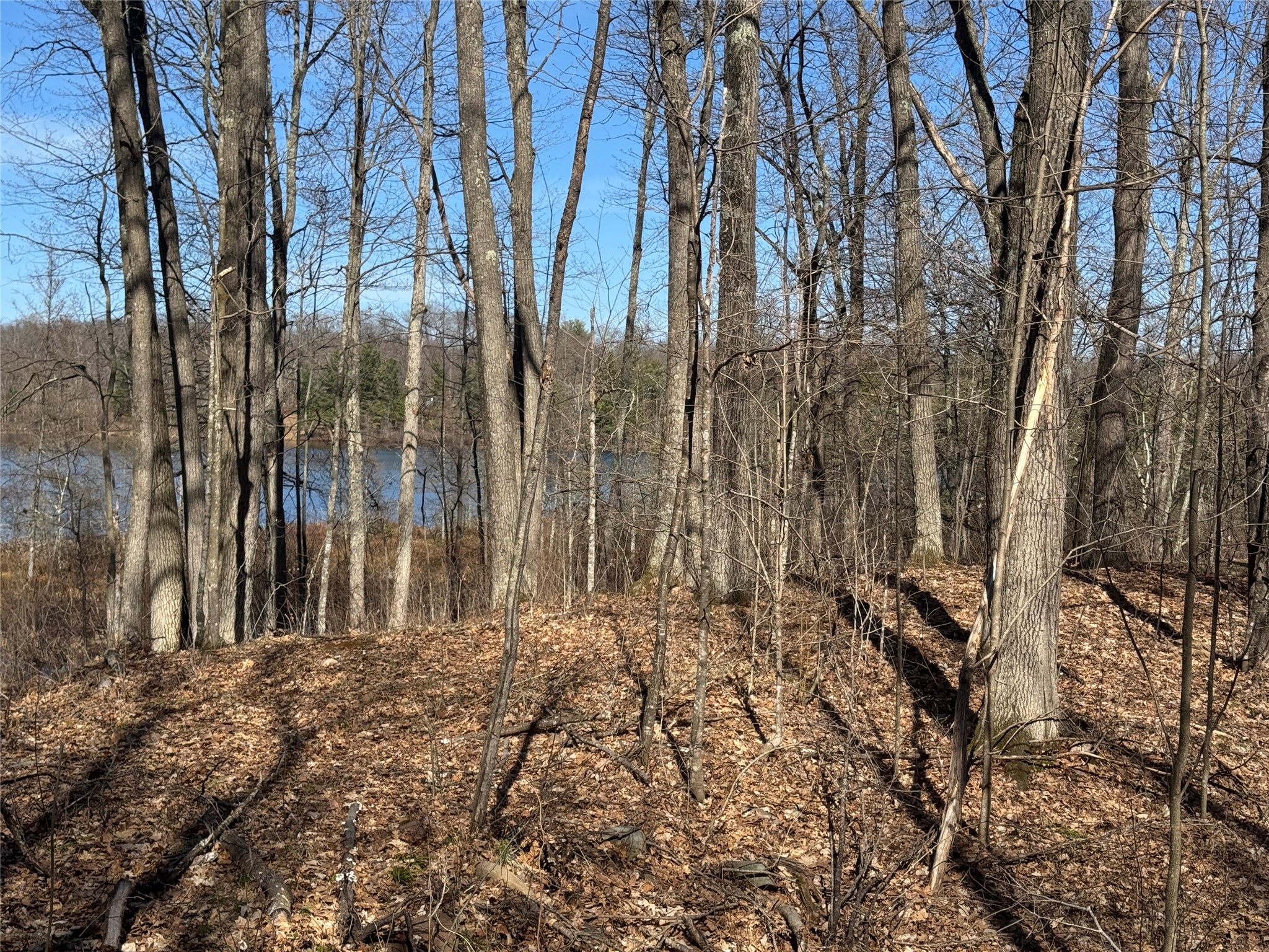 15524W Holly Lake Lane Stone Lake WI 54876 - Upper Holly 1600275 image22