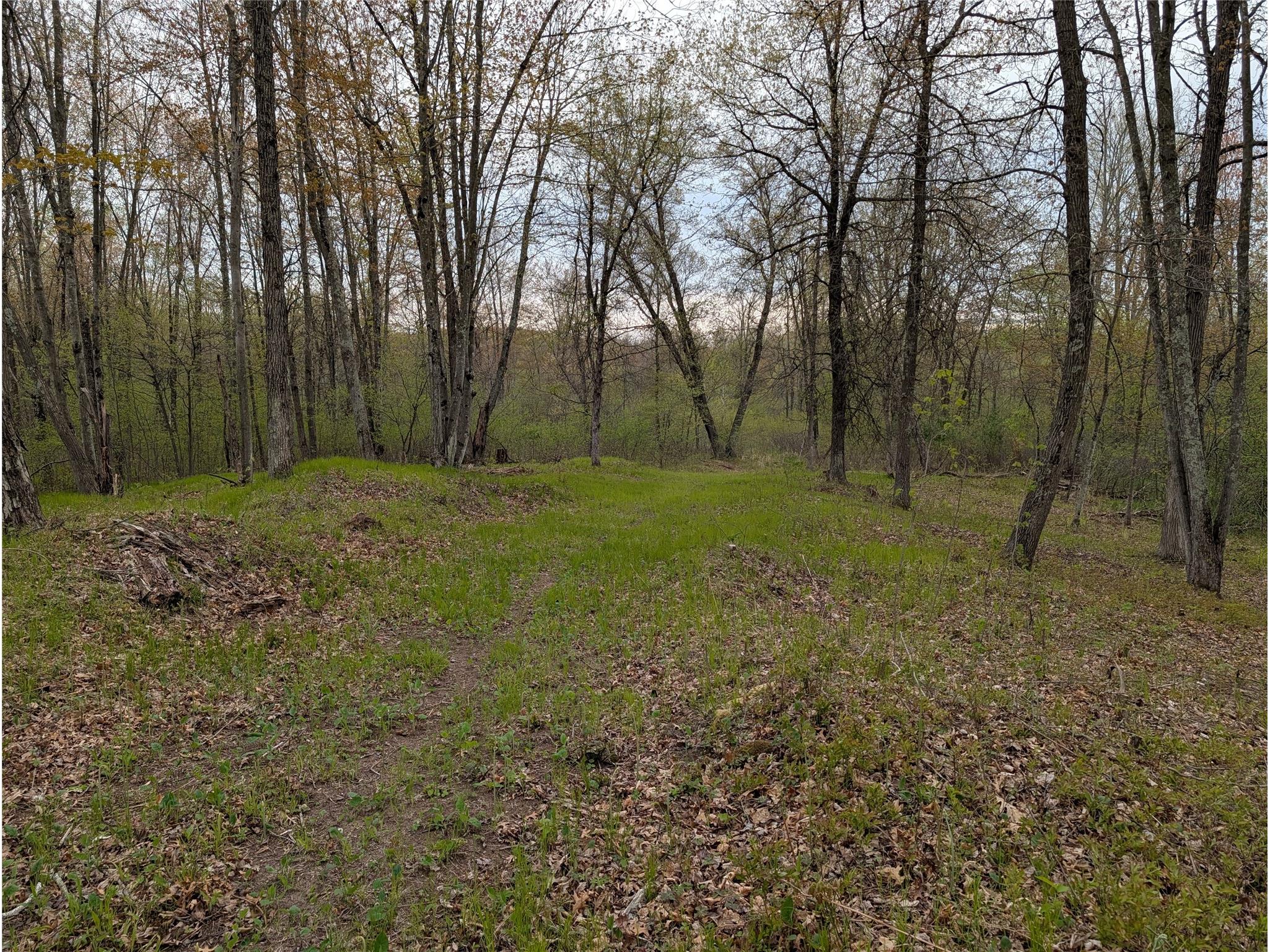15573 Highway 64 Bloomer WI 54724 1601231 image4