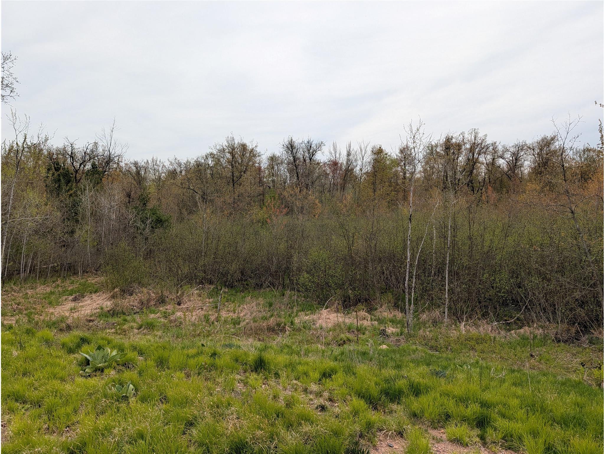 15573 Highway 64 Bloomer WI 54724 1601231 image5