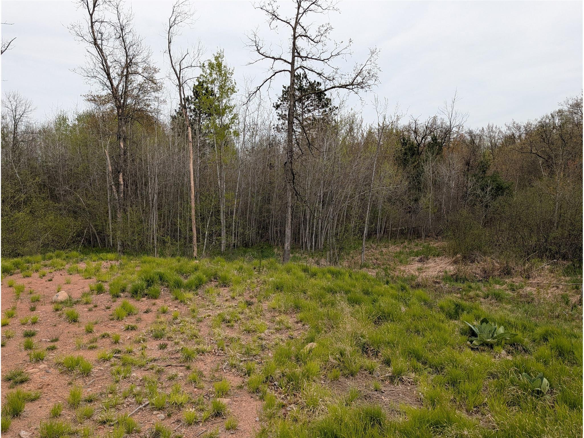 15573 Highway 64 Bloomer WI 54724 1601231 image6