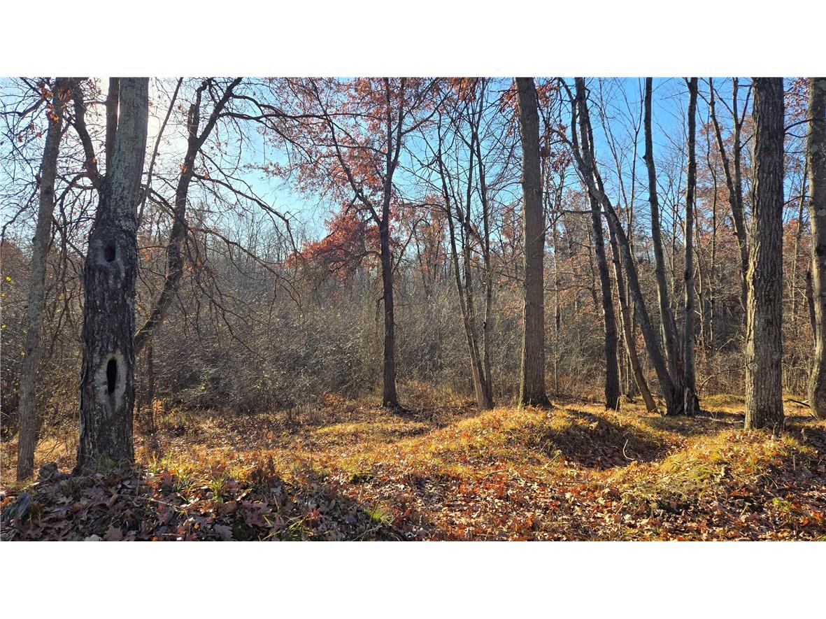 15573 State Hwy 64 Bloomer WI 54724 1596901 image10