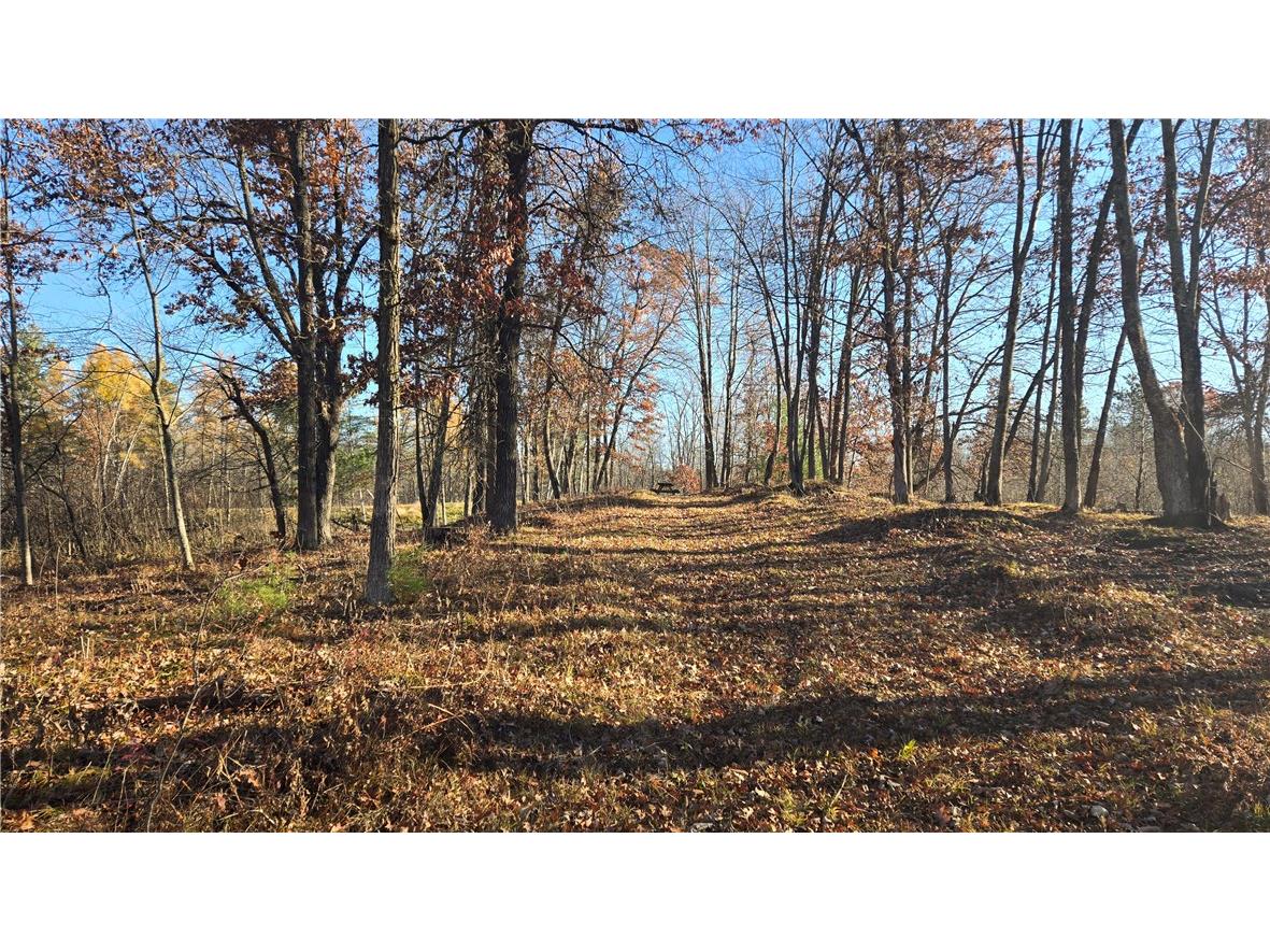 15573 State Hwy 64 Bloomer WI 54724 1596901 image11
