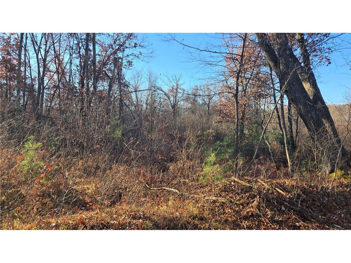 15573 State Hwy 64 Bloomer WI 54724 1596901 image12