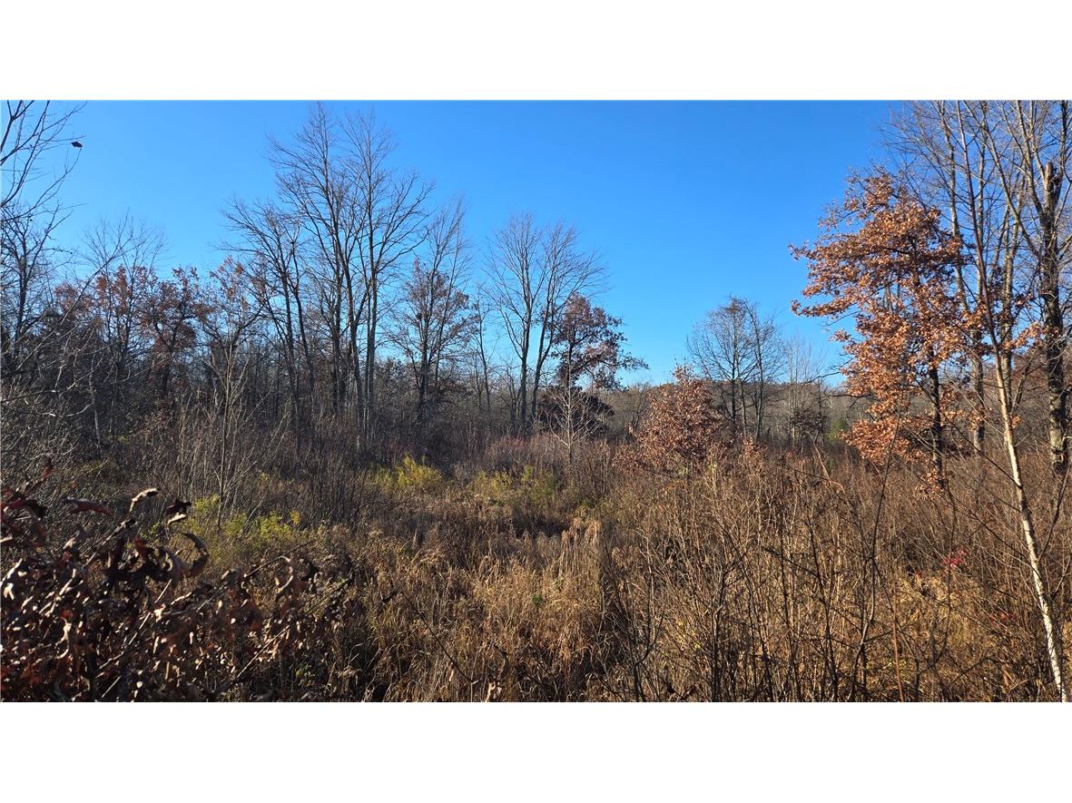 15573 State Hwy 64 Bloomer WI 54724 1596901 image13