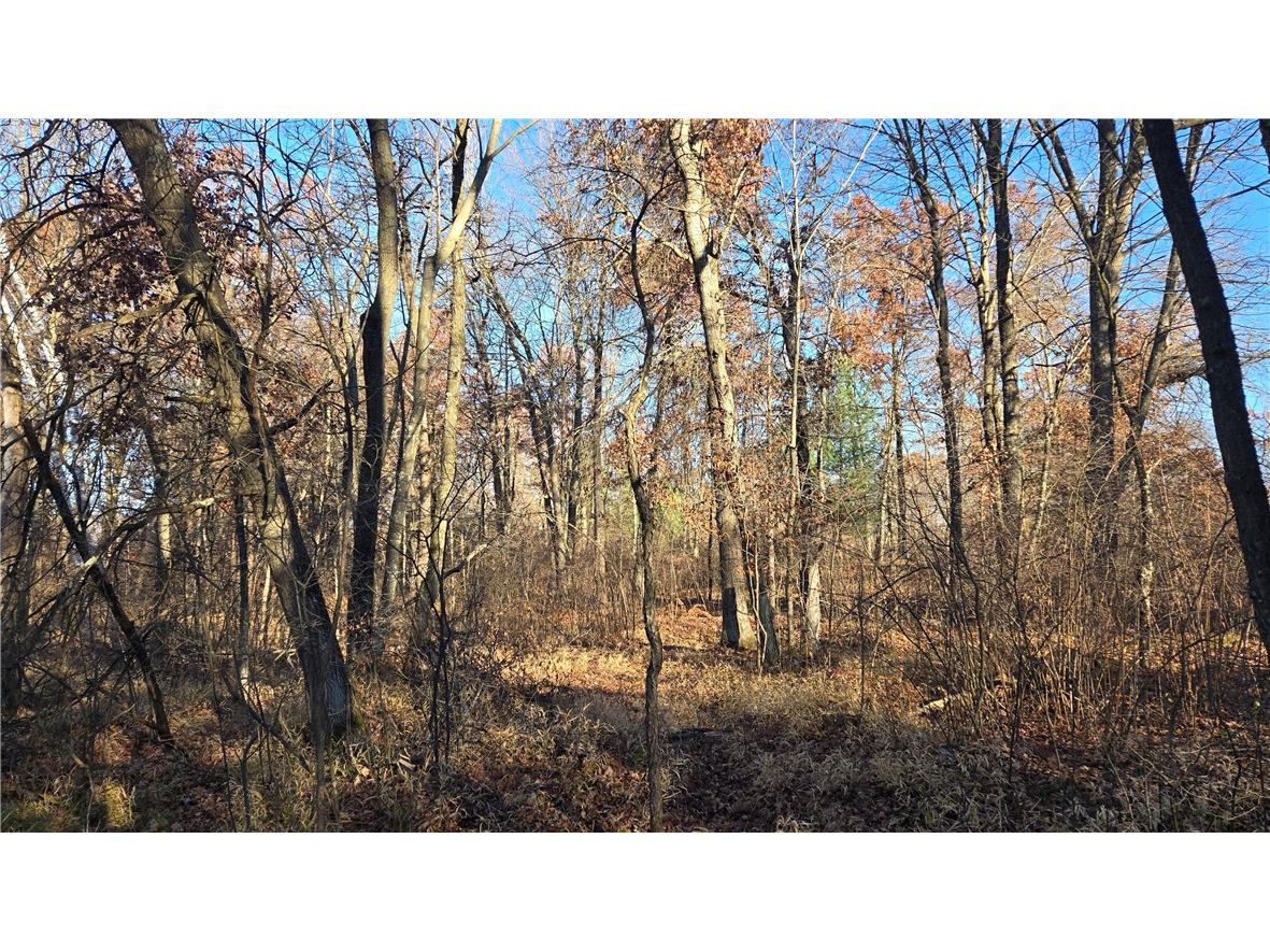 15573 State Hwy 64 Bloomer WI 54724 1596901 image14