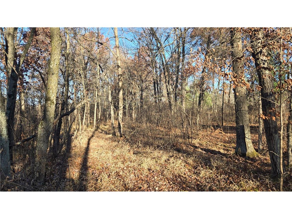 15573 State Hwy 64 Bloomer WI 54724 1596901 image15