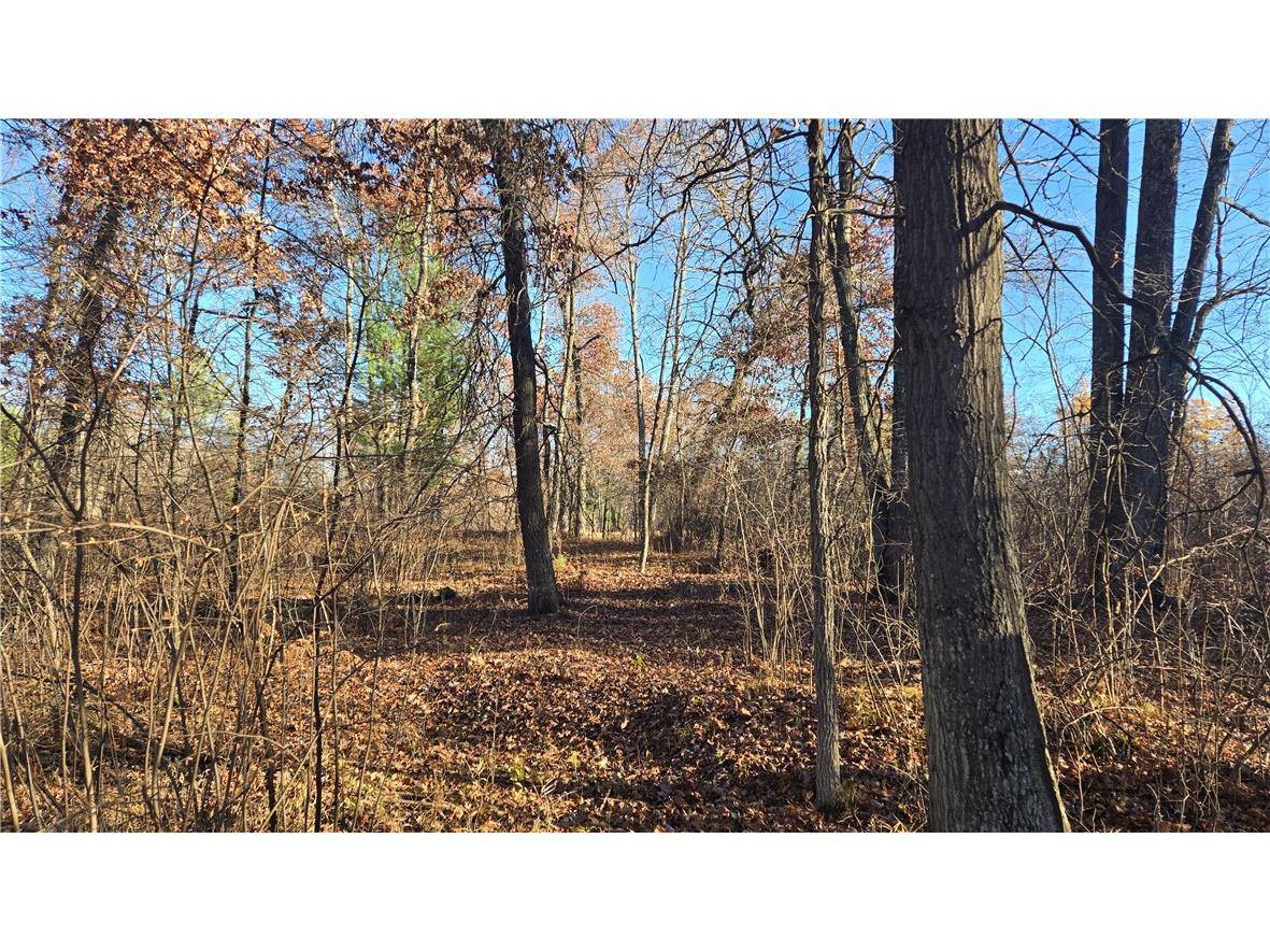 15573 State Hwy 64 Bloomer WI 54724 1596901 image16