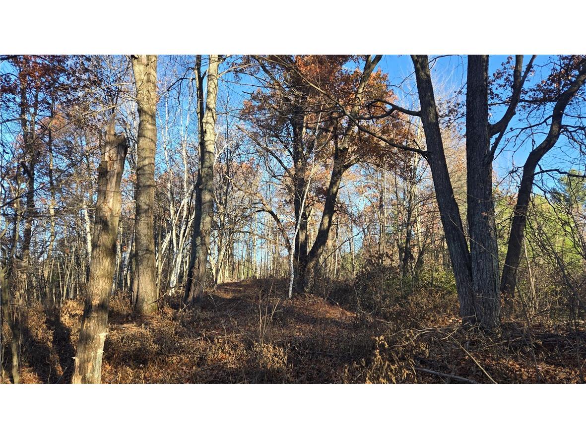 15573 State Hwy 64 Bloomer WI 54724 1596901 image17