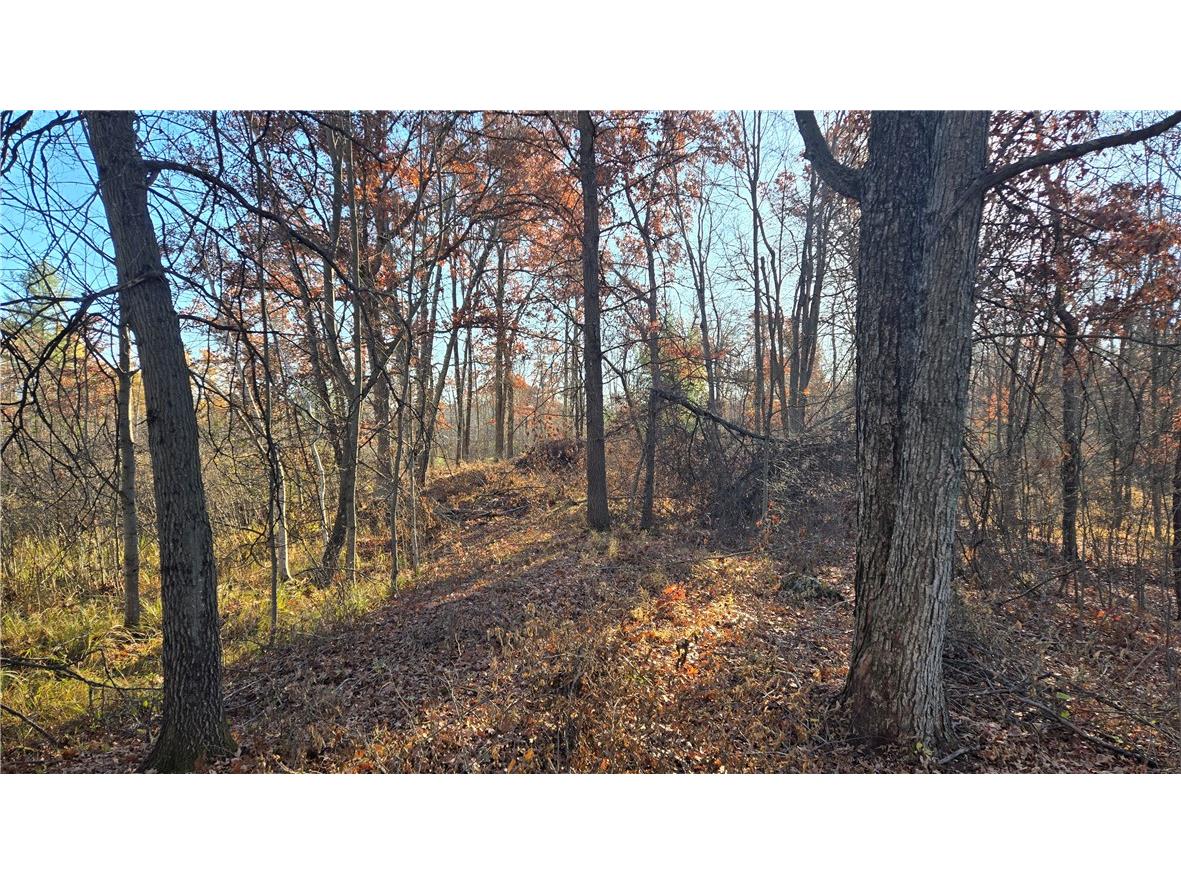 15573 State Hwy 64 Bloomer WI 54724 1596901 image18