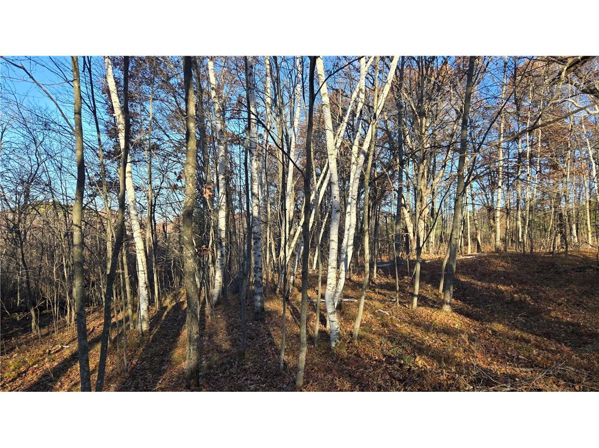 15573 State Hwy 64 Bloomer WI 54724 1596901 image19