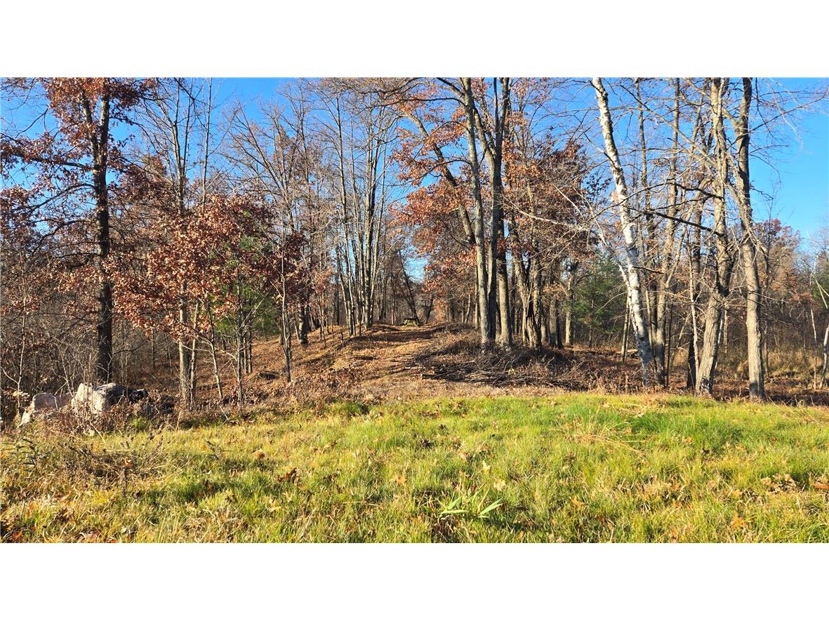 15573 State Hwy 64 Bloomer WI 54724 1596901 image2