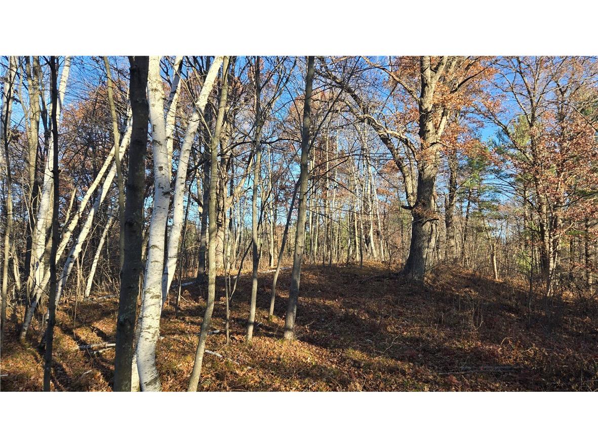 15573 State Hwy 64 Bloomer WI 54724 1596901 image20